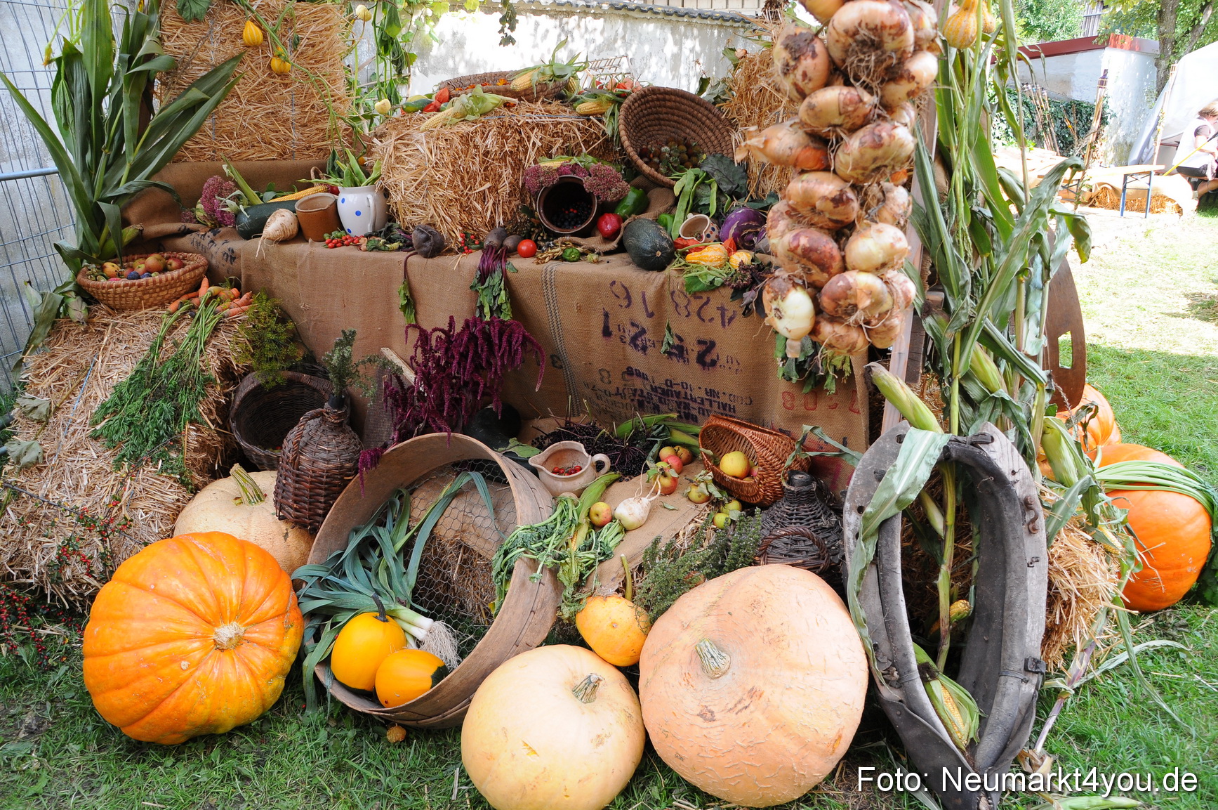 Tillyfest Breitenbrunn 120910 0021