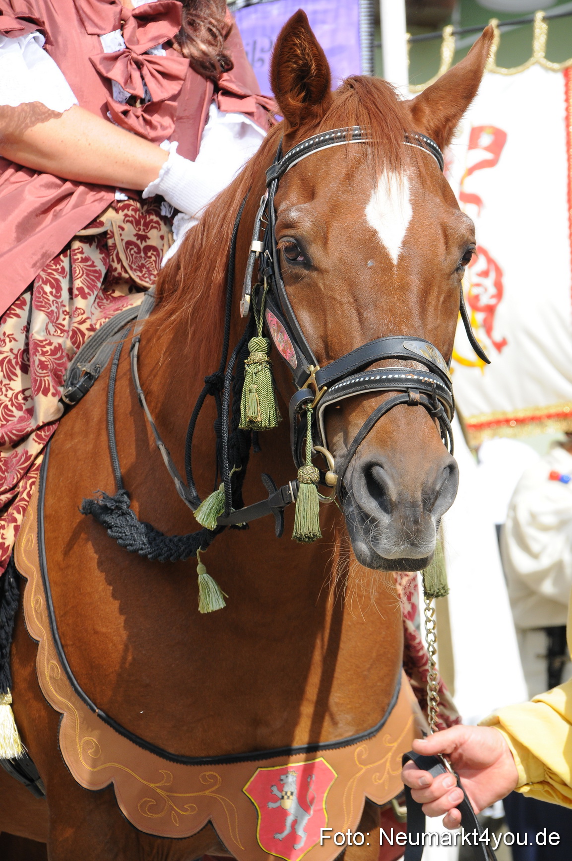 Tillyfest Breitenbrunn 120910 0148