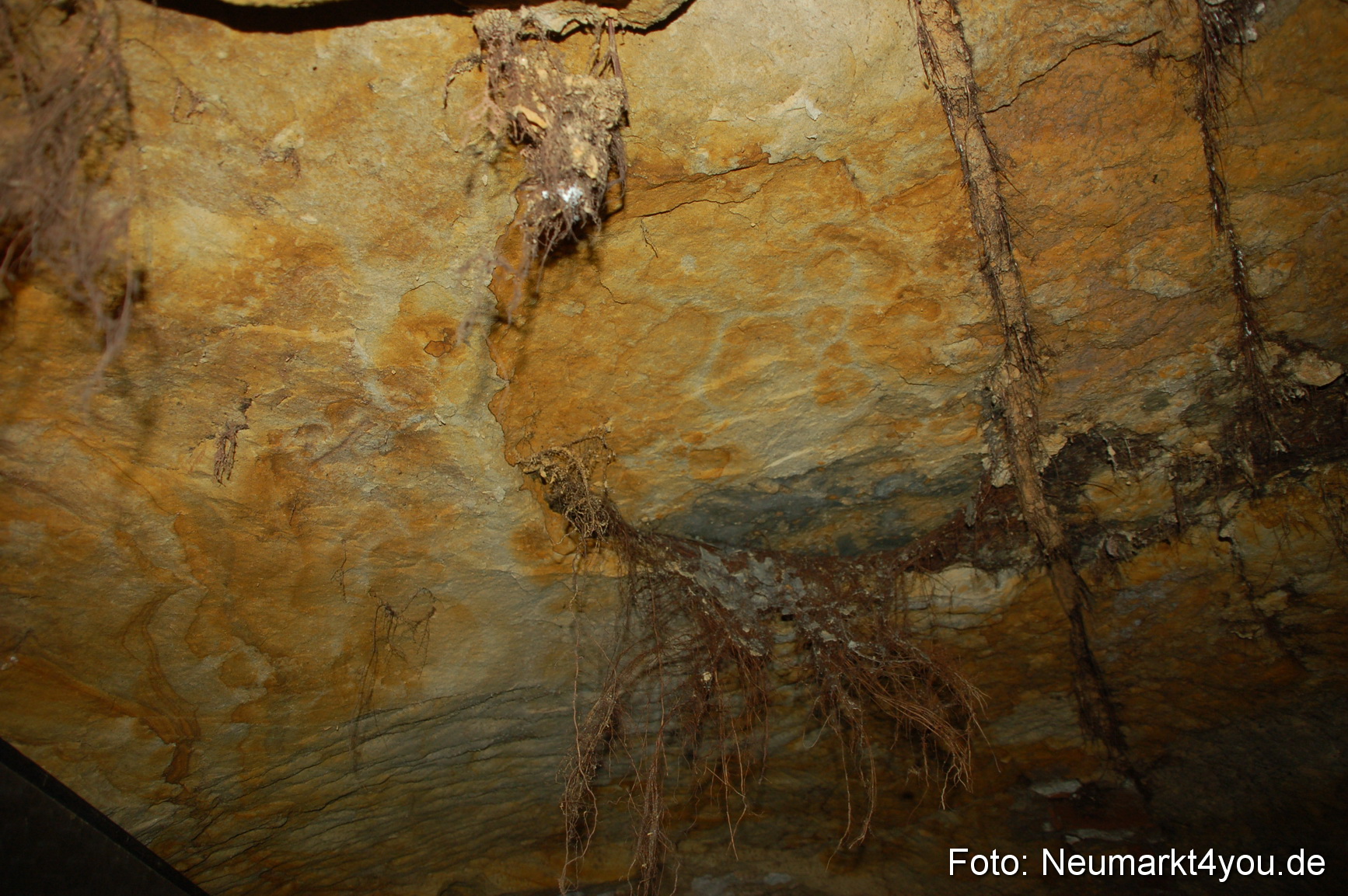 Felsenkeller Hoehenberg 240410 0016