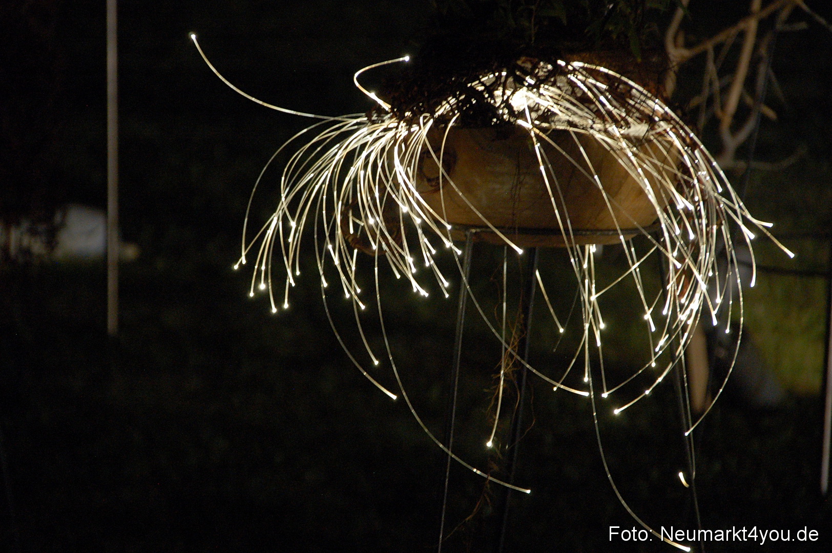 Berchinale 2011 0074