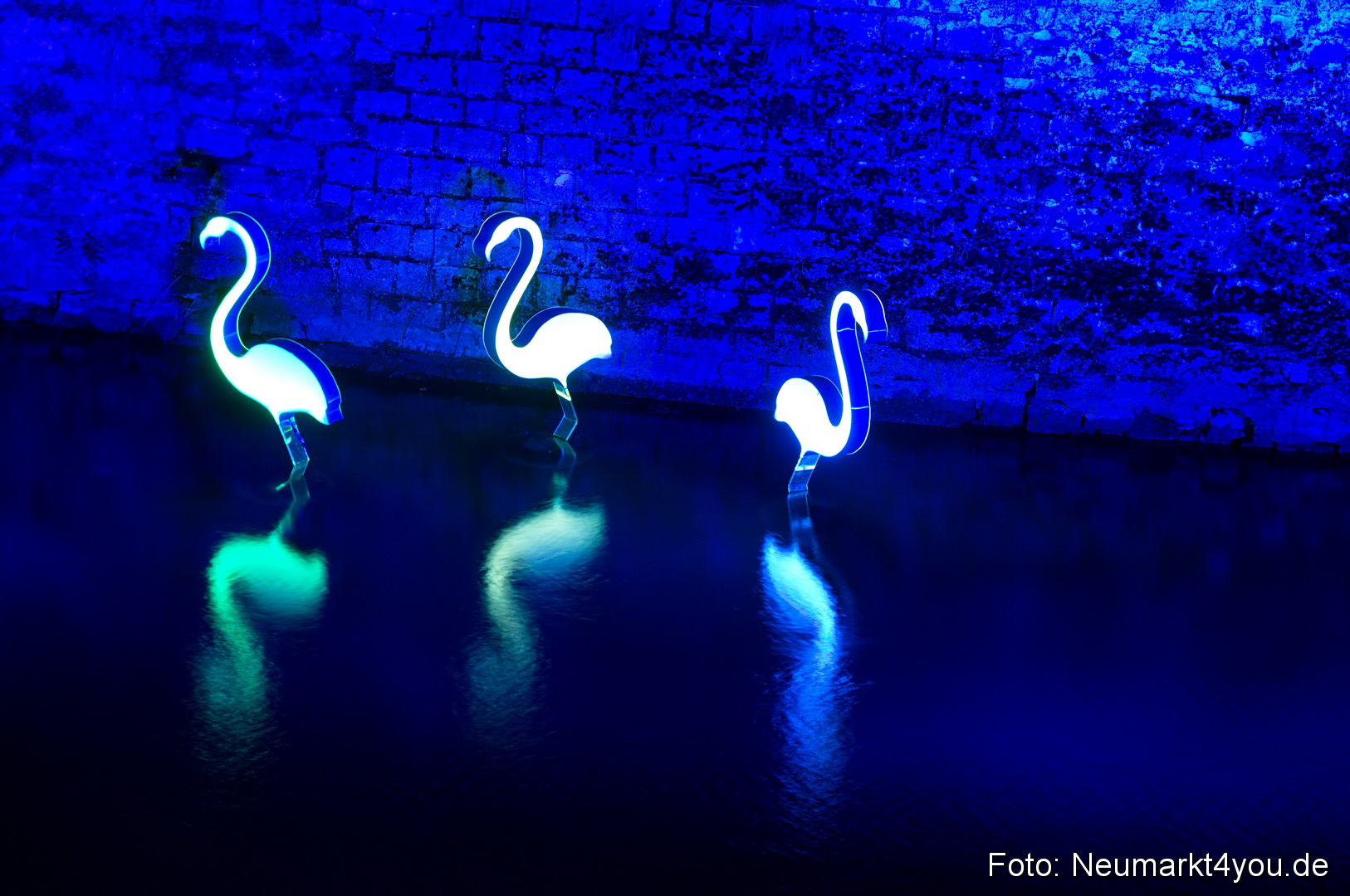 Berchinale 2011 0097