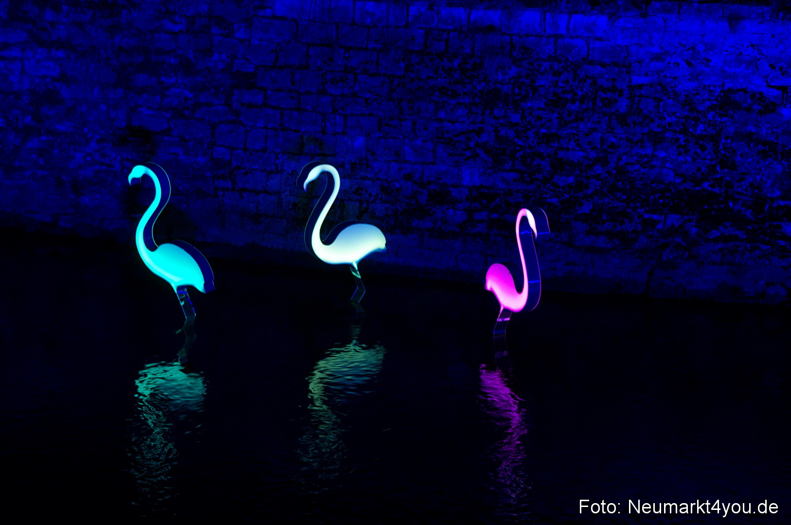 Berchinale 2011 0098