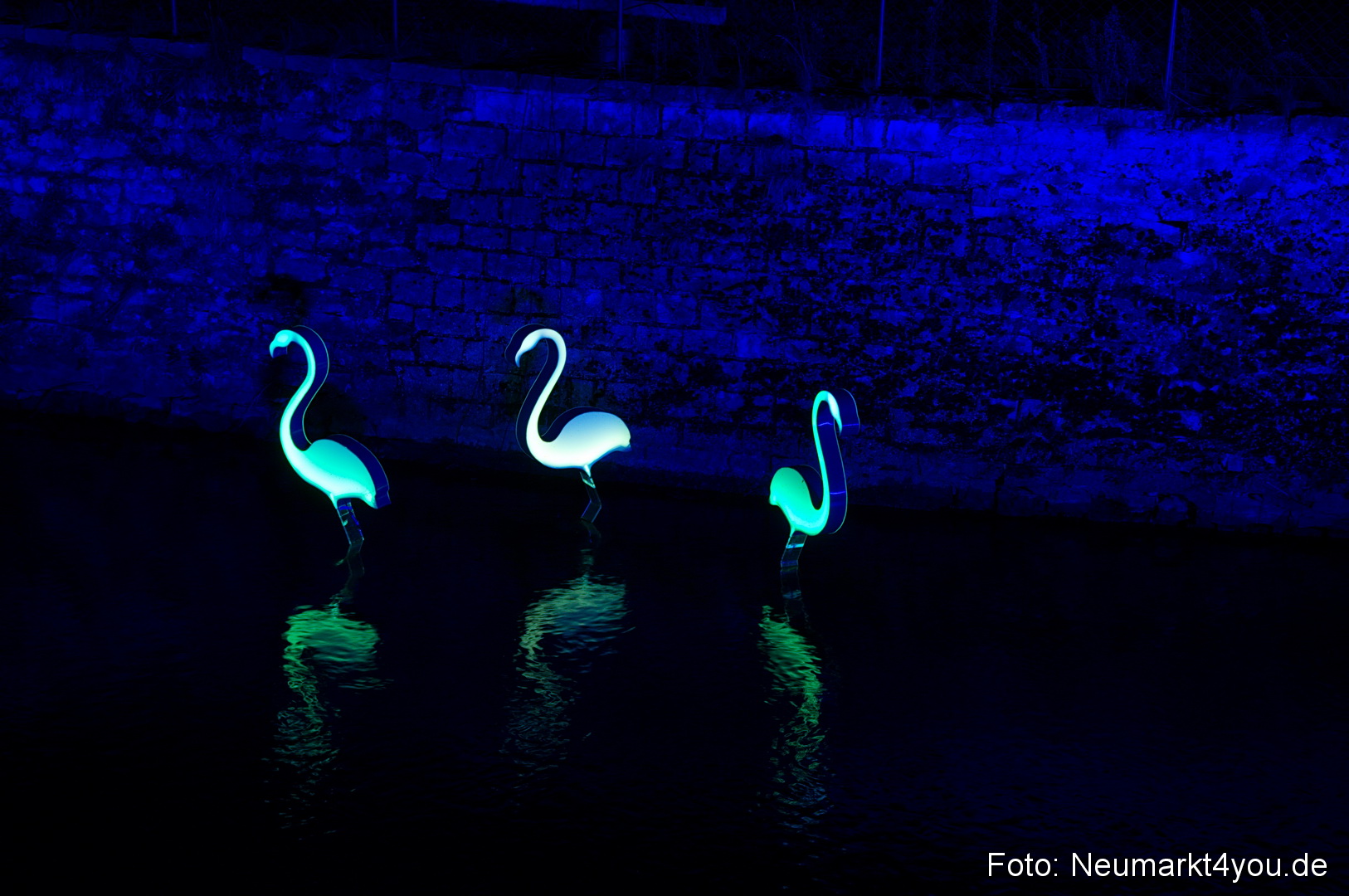 Berchinale 2011 0099