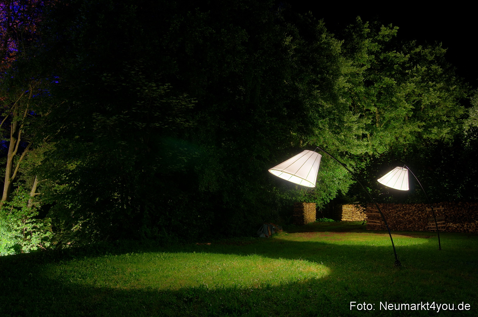 Berchinale 2011 0100