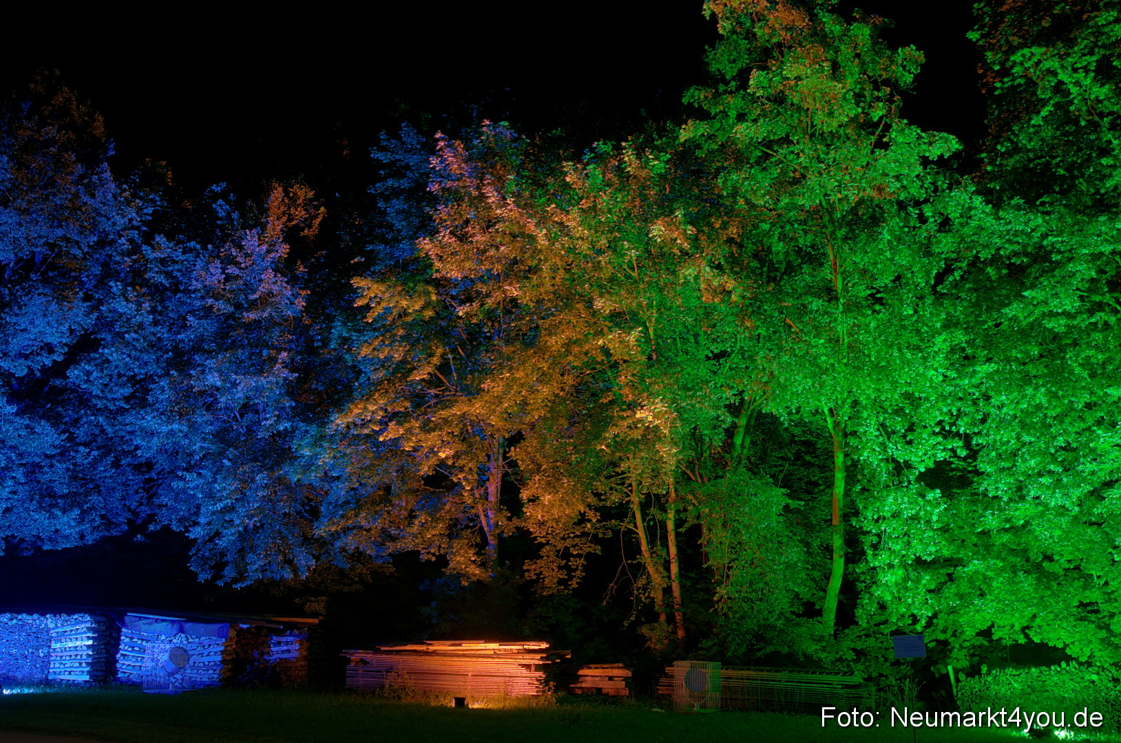 Berchinale 2011 0101