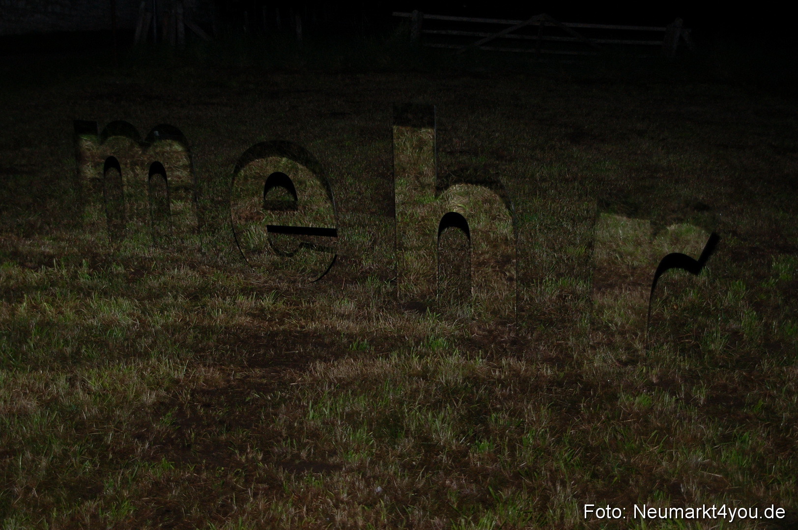 Berchinale 2011 0119