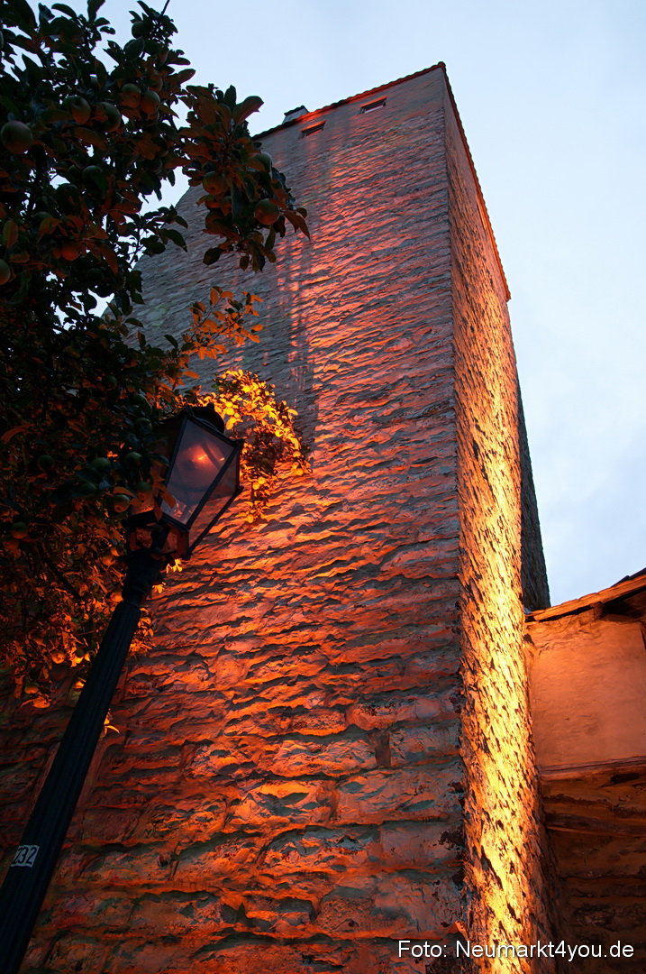 Berchinale 2011 0141