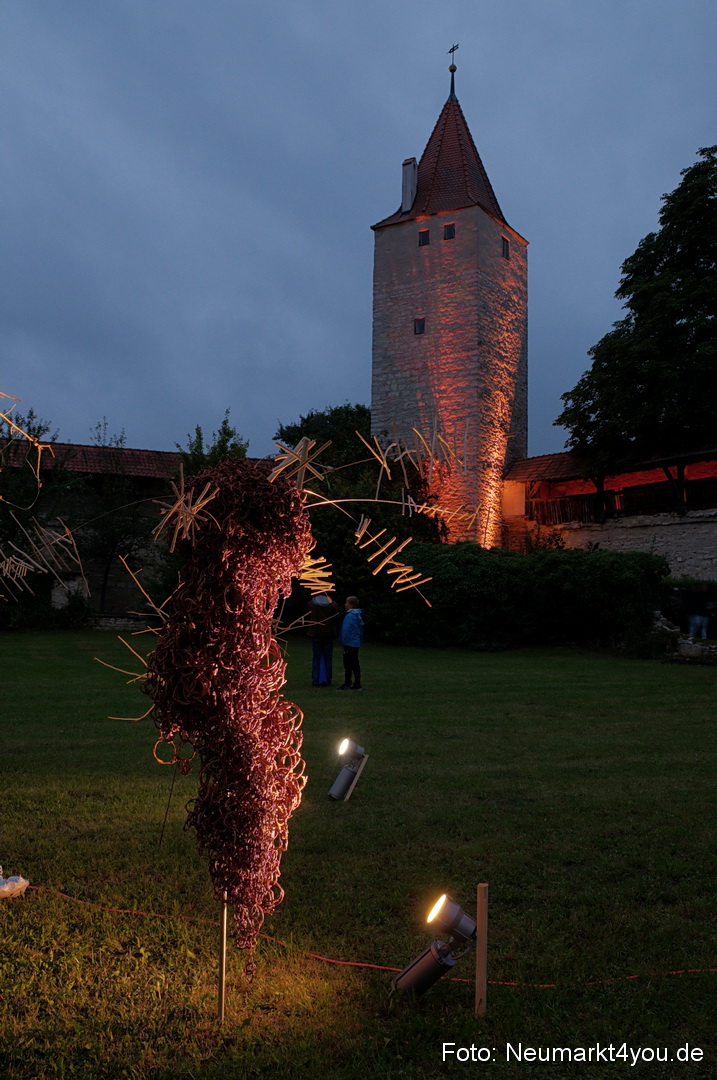 Berchinale 2011 0145