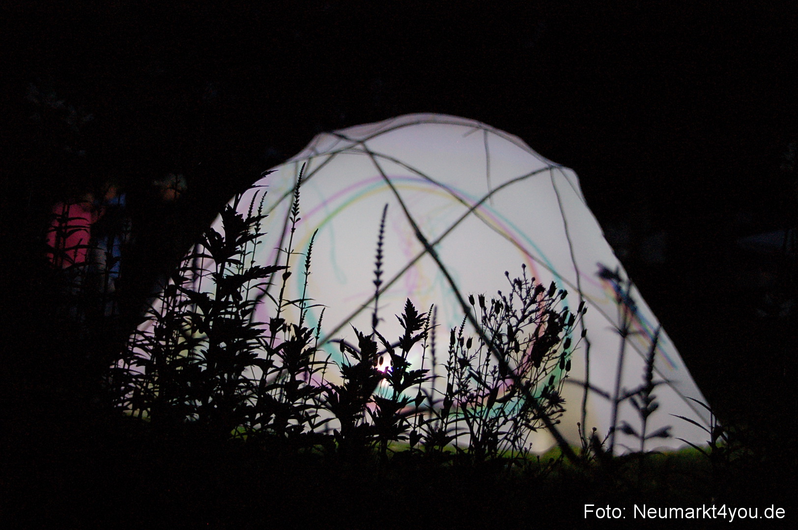 Berchinale 2011 0158