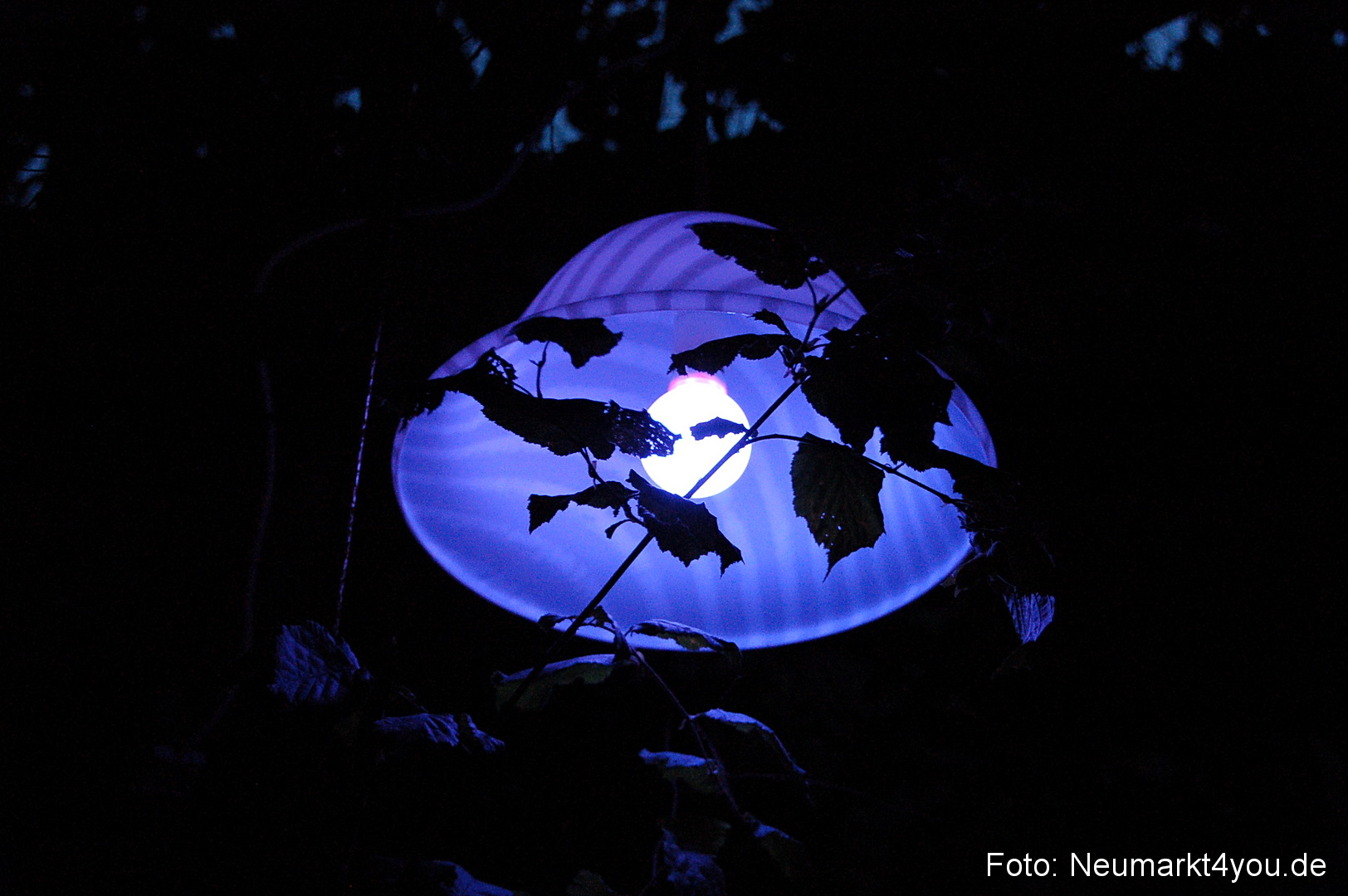 Berchinale 2011 0162