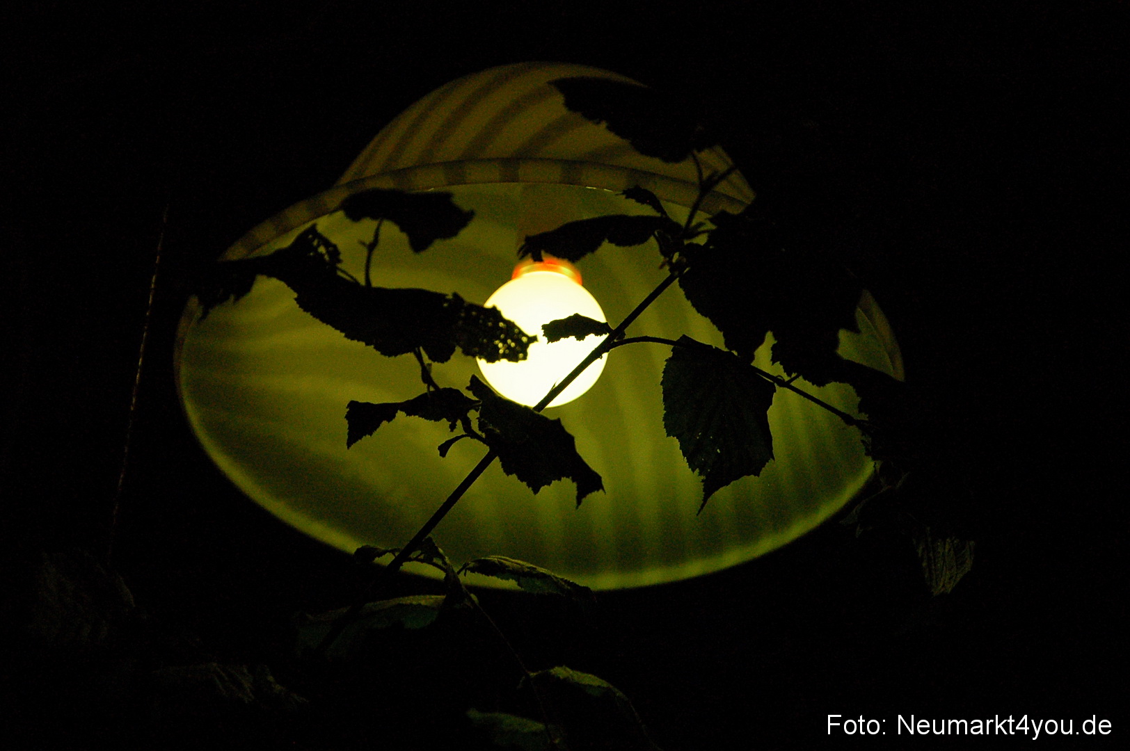 Berchinale 2011 0163