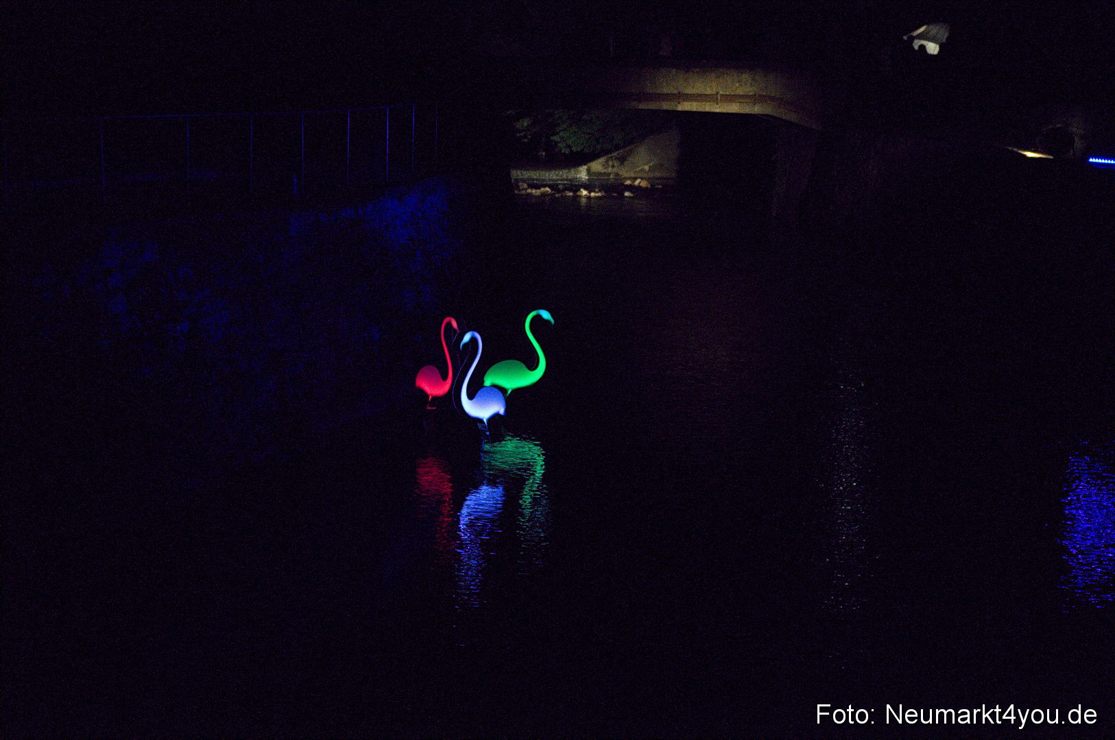 Berchinale 2011 0166