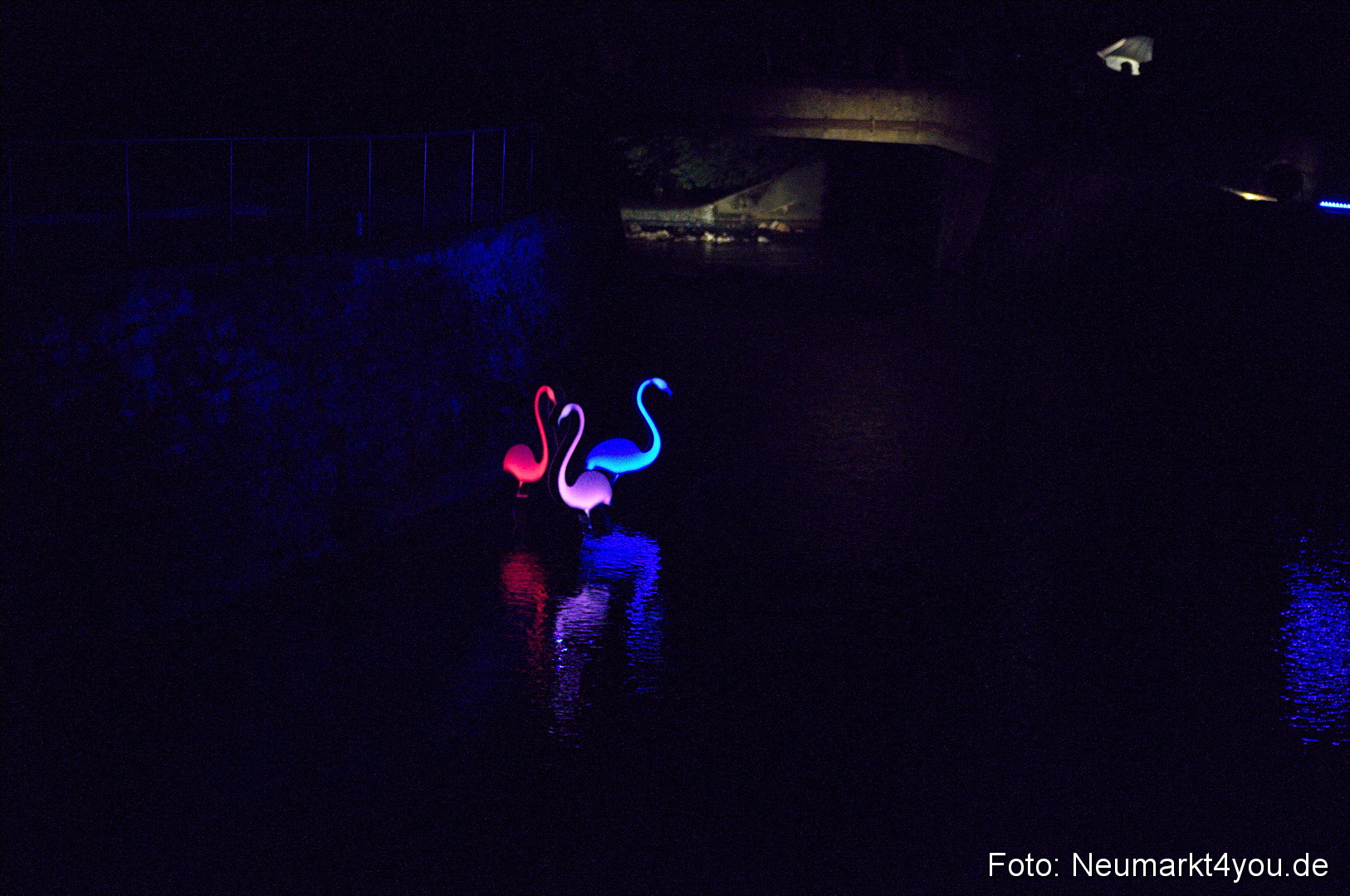 Berchinale 2011 0167