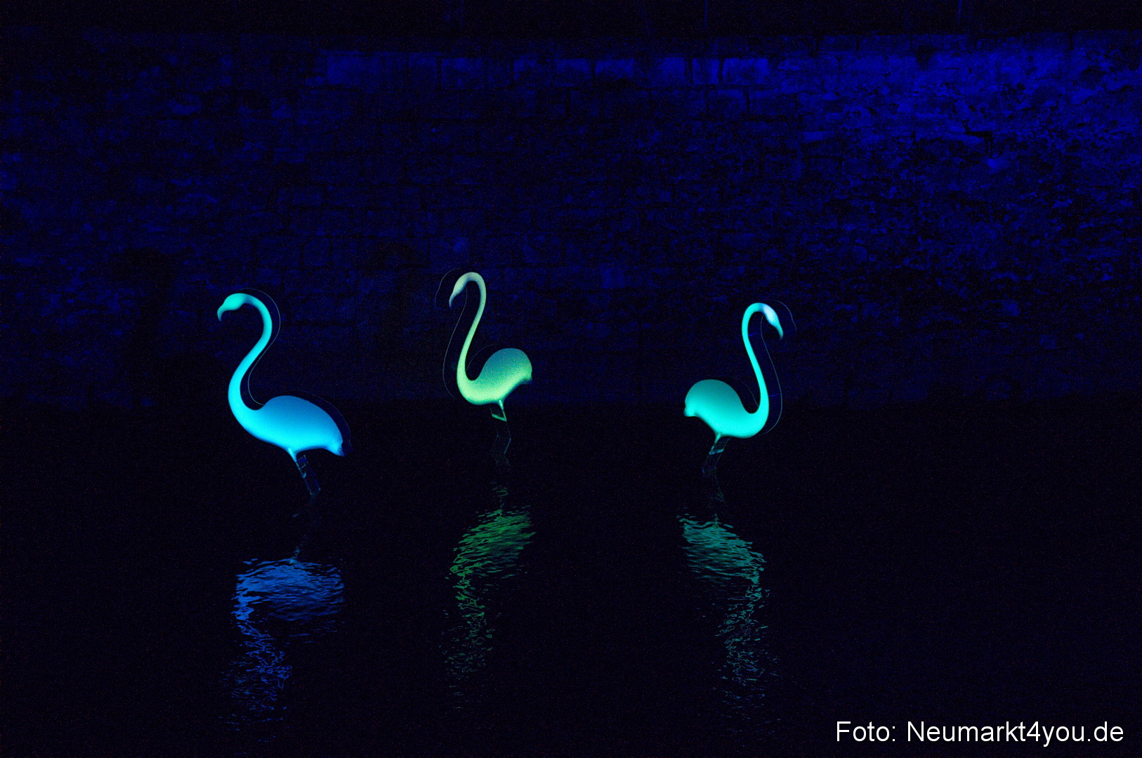 Berchinale 2011 0171