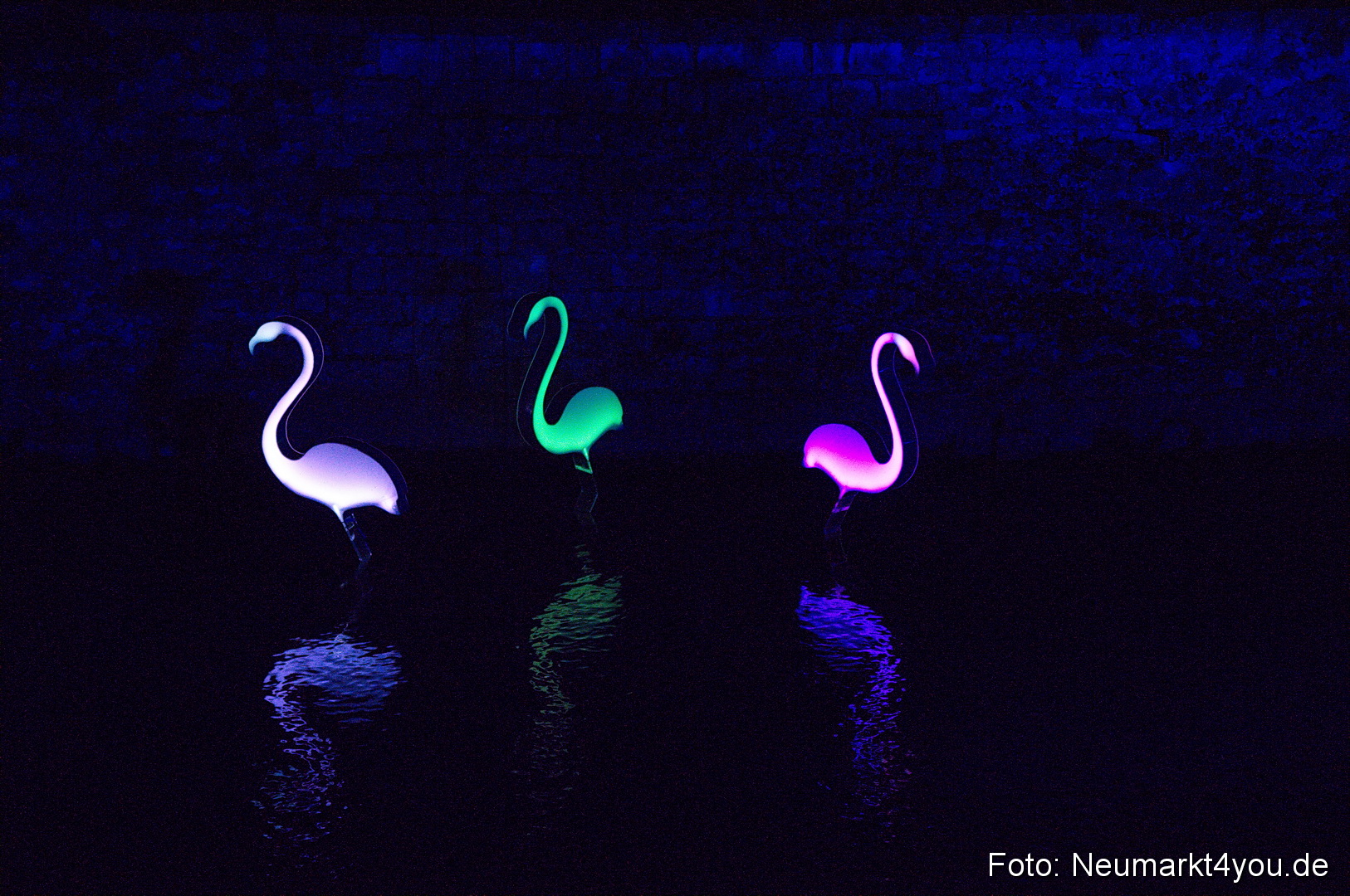 Berchinale 2011 0172