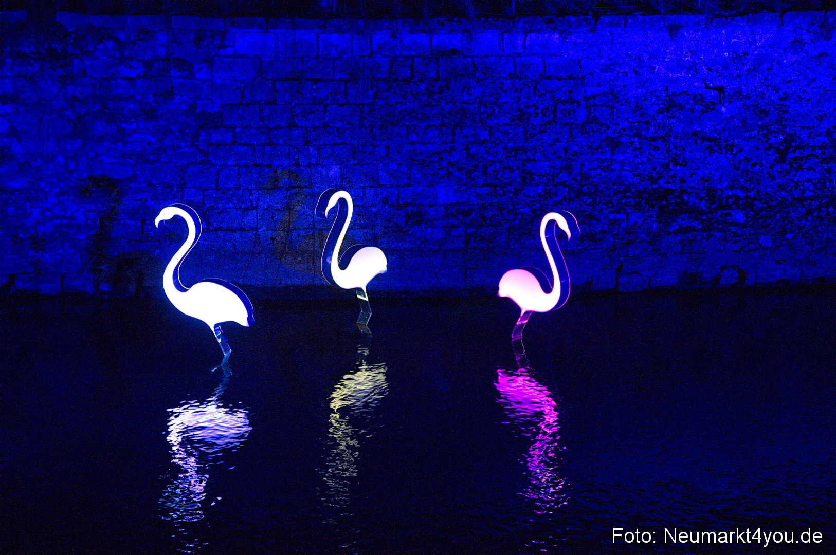 Berchinale 2011 0173