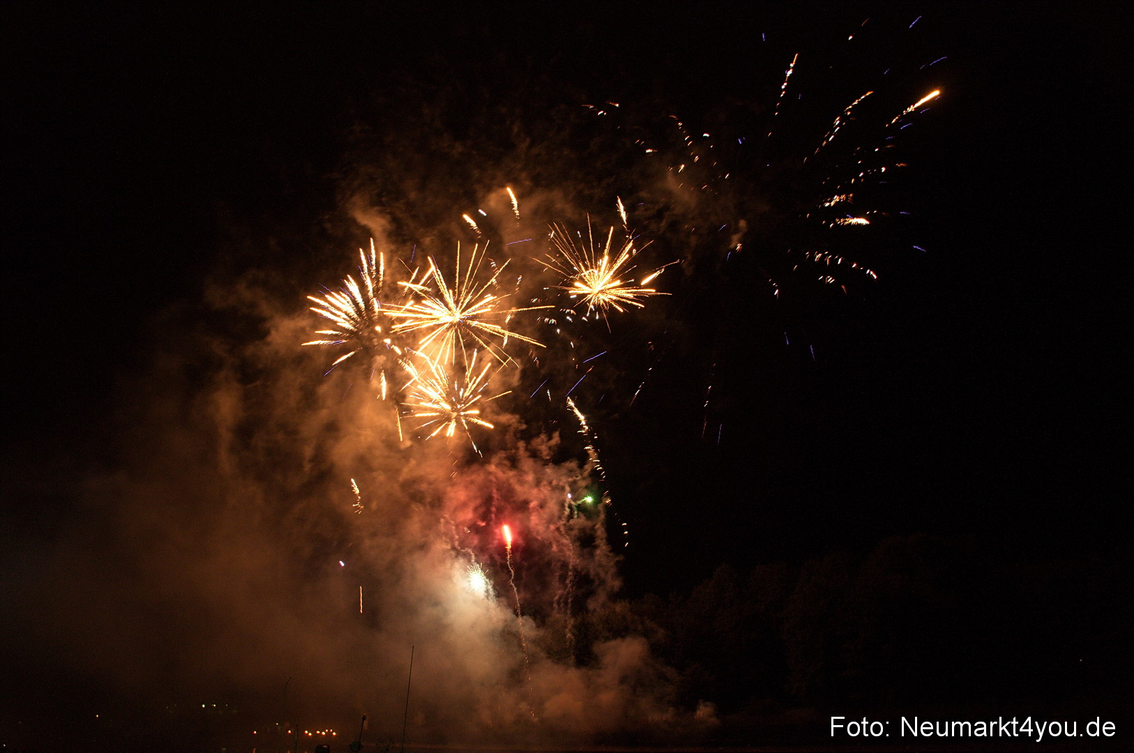 Berchinale 2011 0208