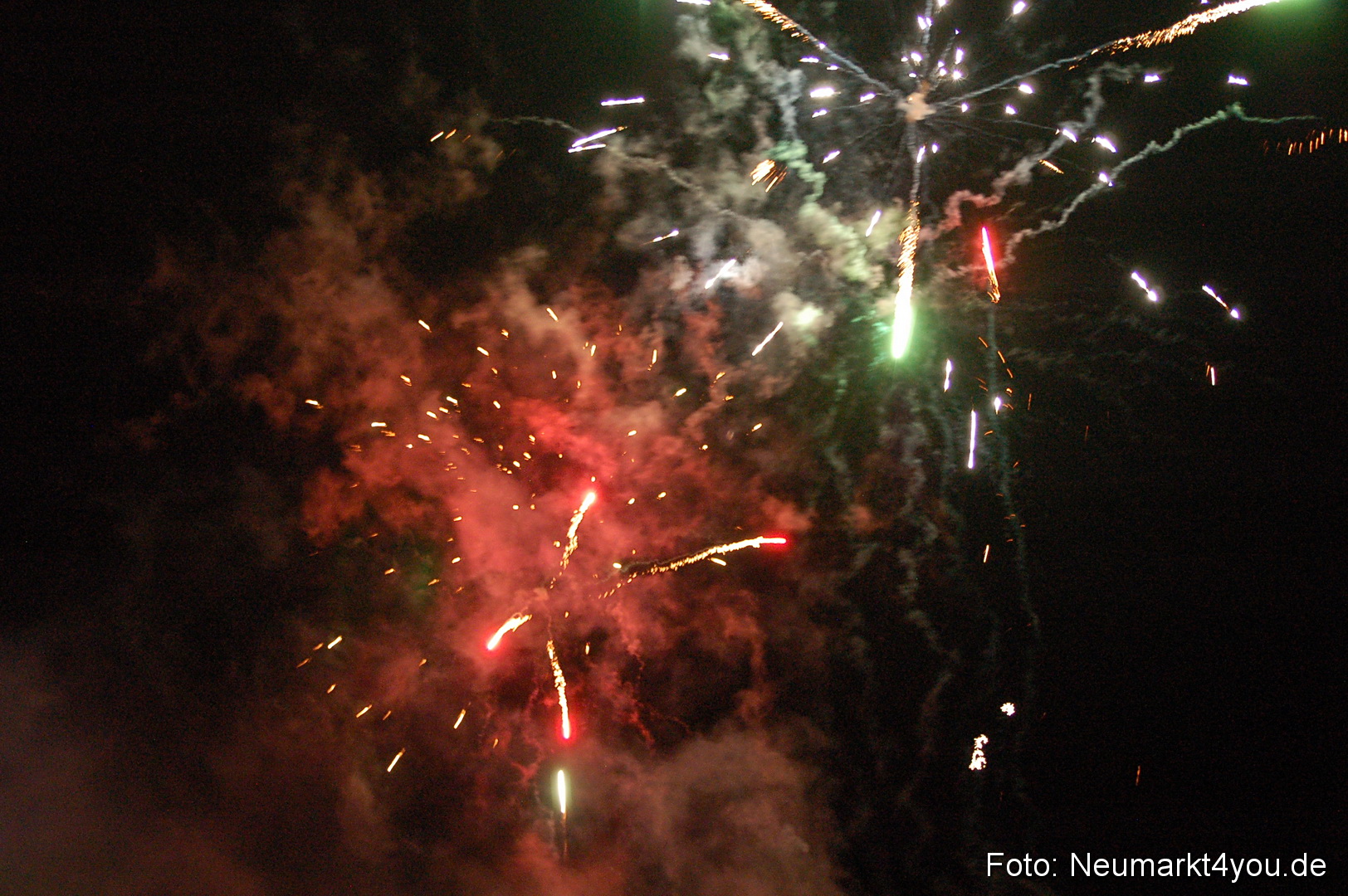 Berchinale 2011 0210