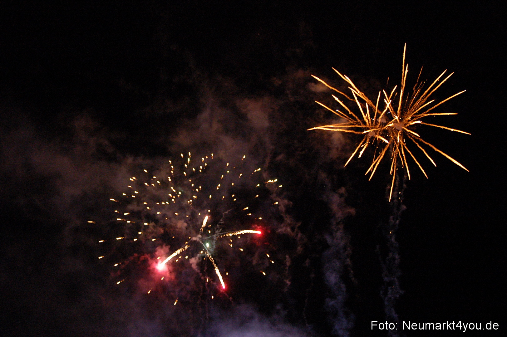 Berchinale 2011 0211