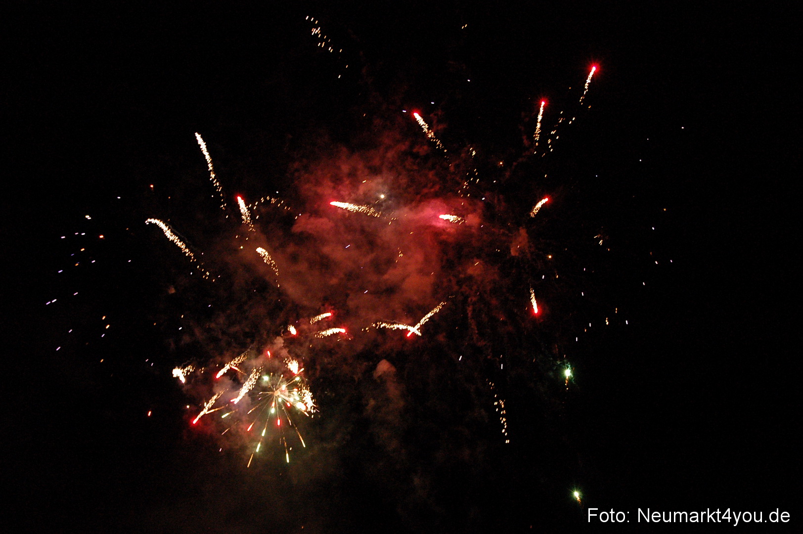 Berchinale 2011 0215