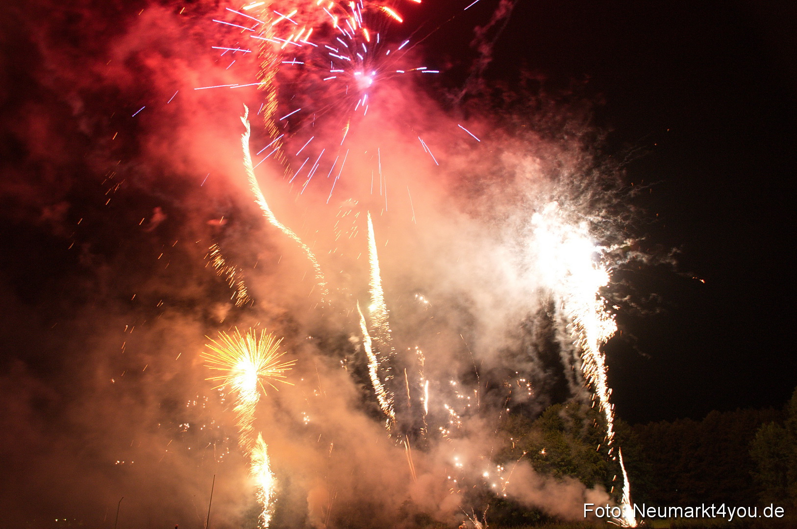 Berchinale 2011 0226