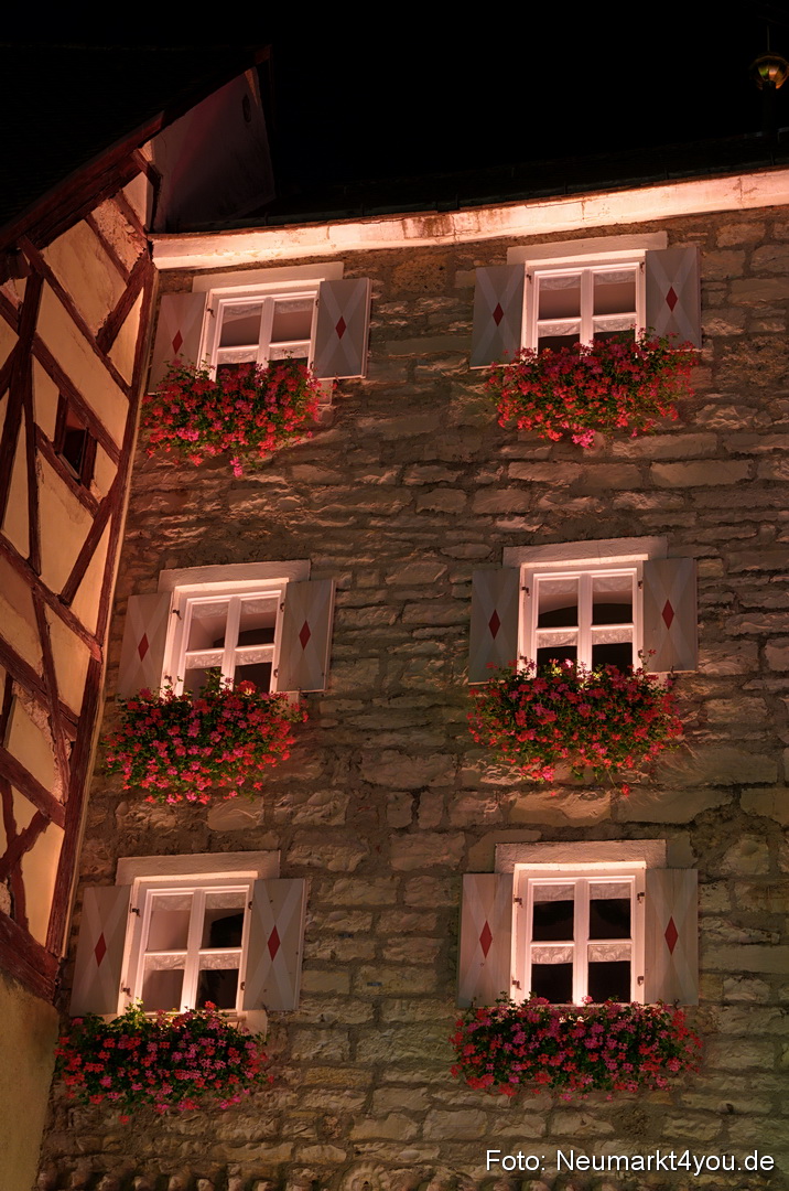 Berchinale 2011 0247