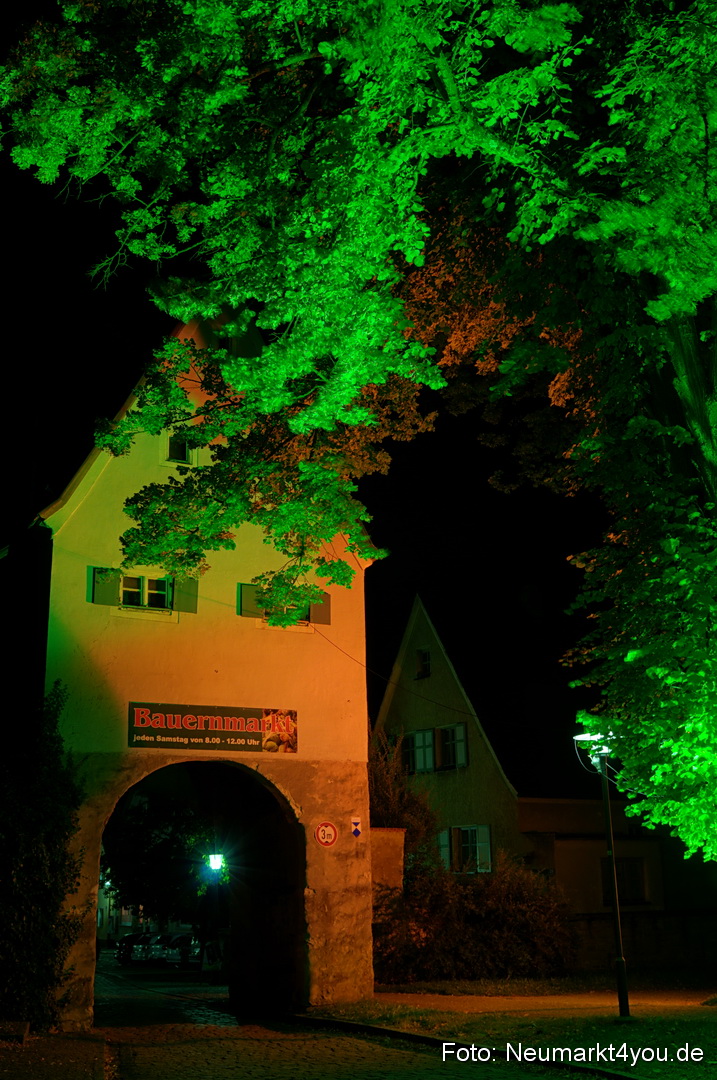 Berchinale 2011 0253