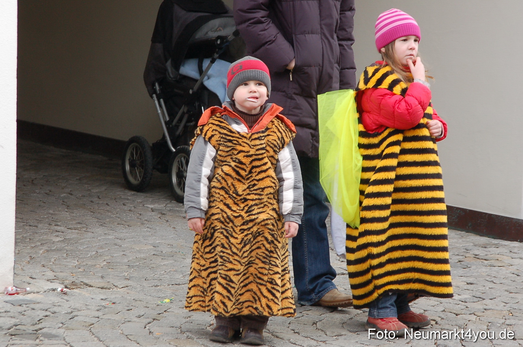 Faschingszug Berching 060311 0285