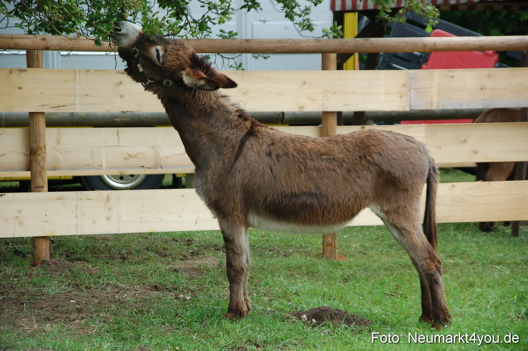 Fruehlingsfest 2011 0097