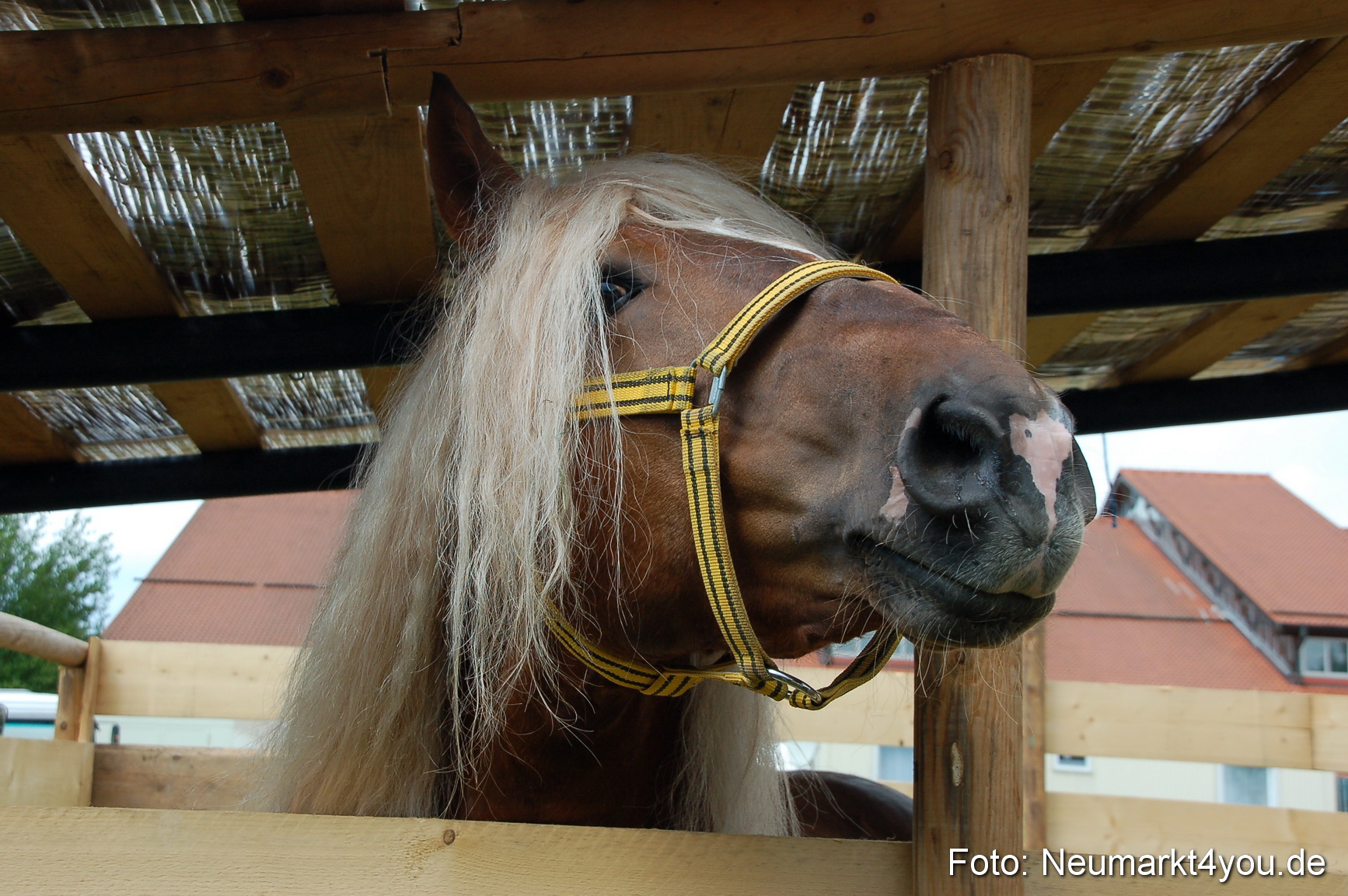 Fruehlingsfest 2011 0098