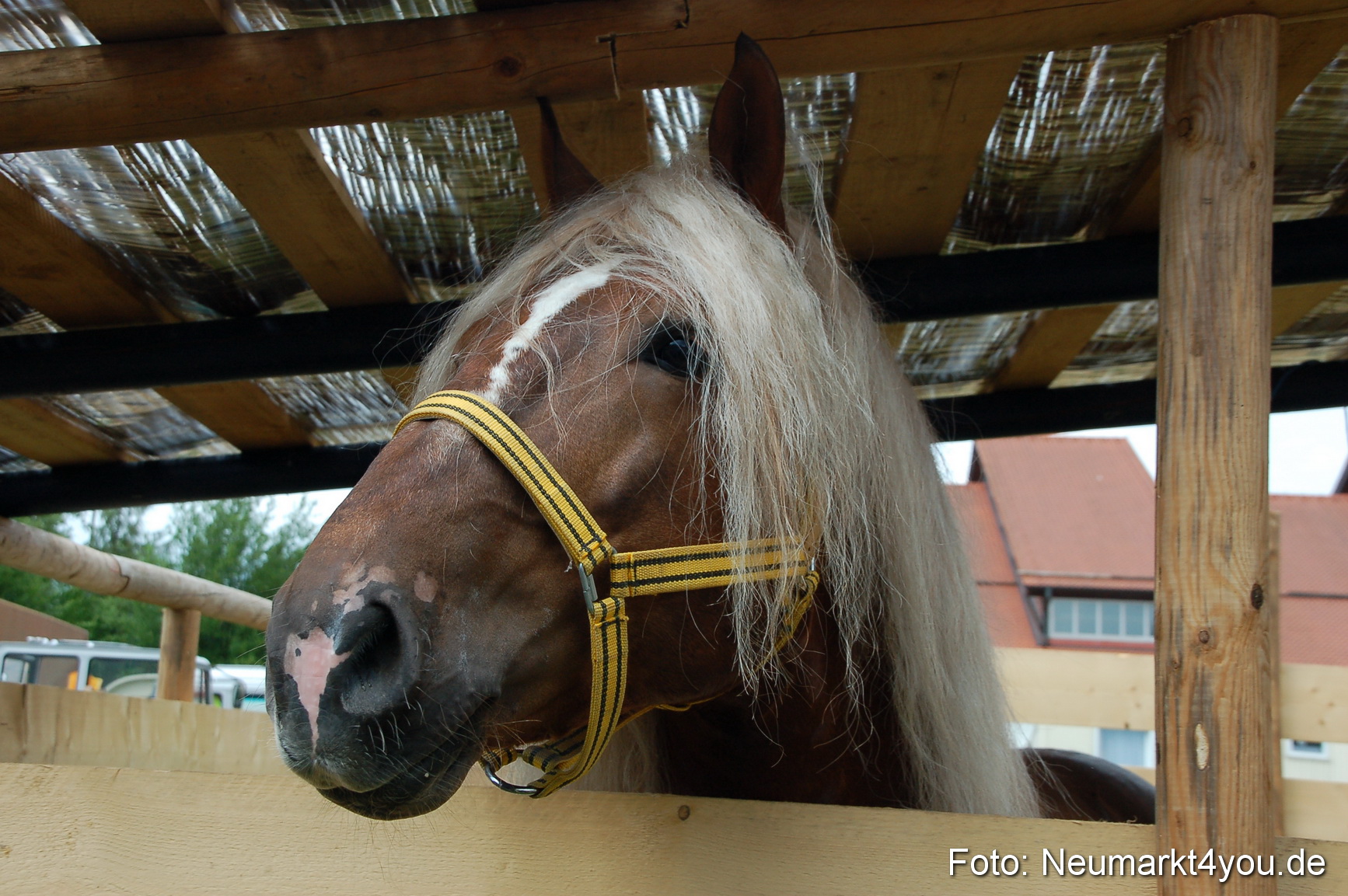 Fruehlingsfest 2011 0099
