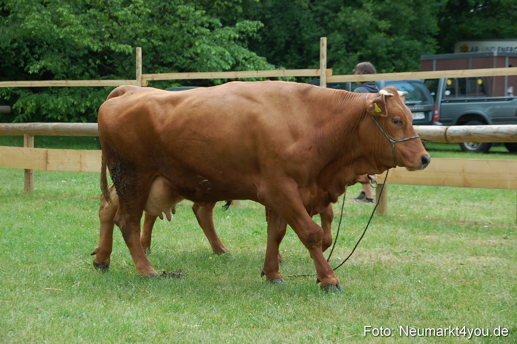 Fruehlingsfest 2011 0101