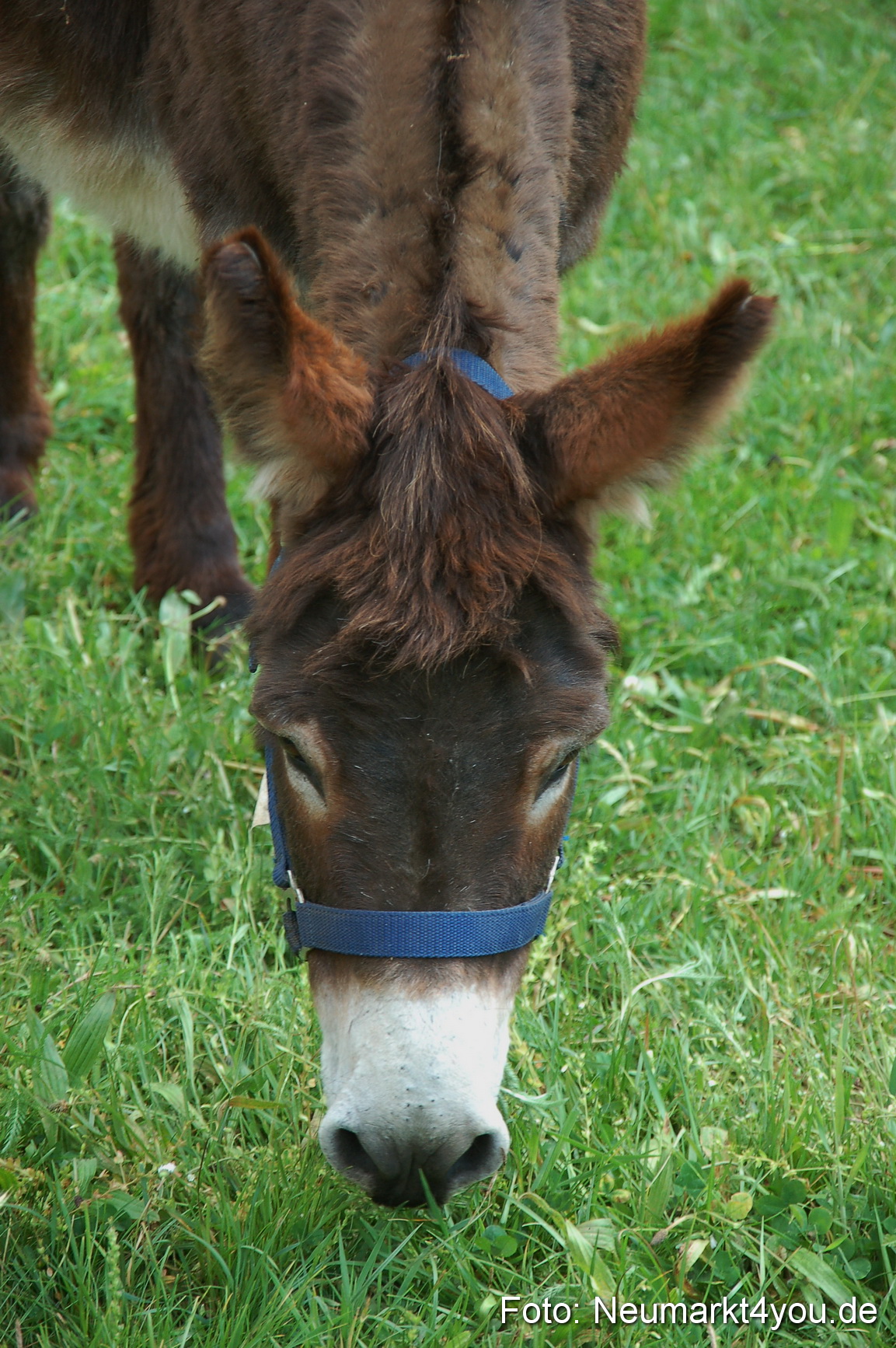 Fruehlingsfest 2011 0102