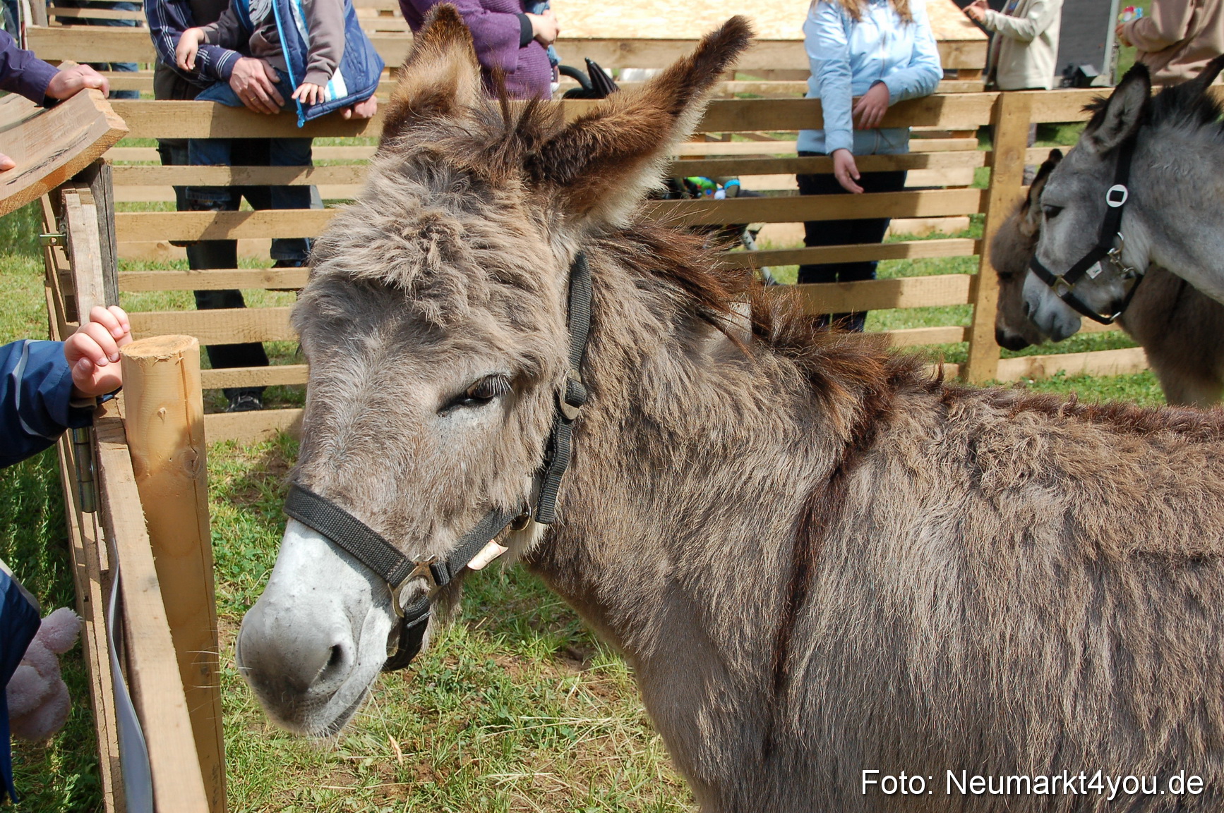 Fruehlingsfest 2011 0105