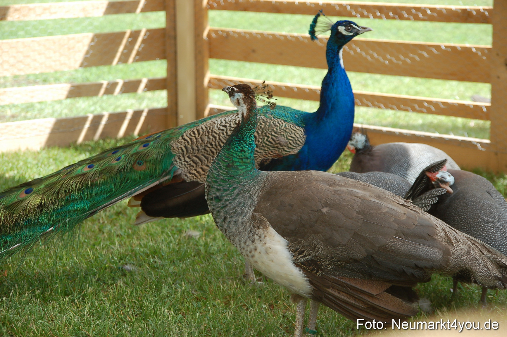 Fruehlingsfest 2011 0109