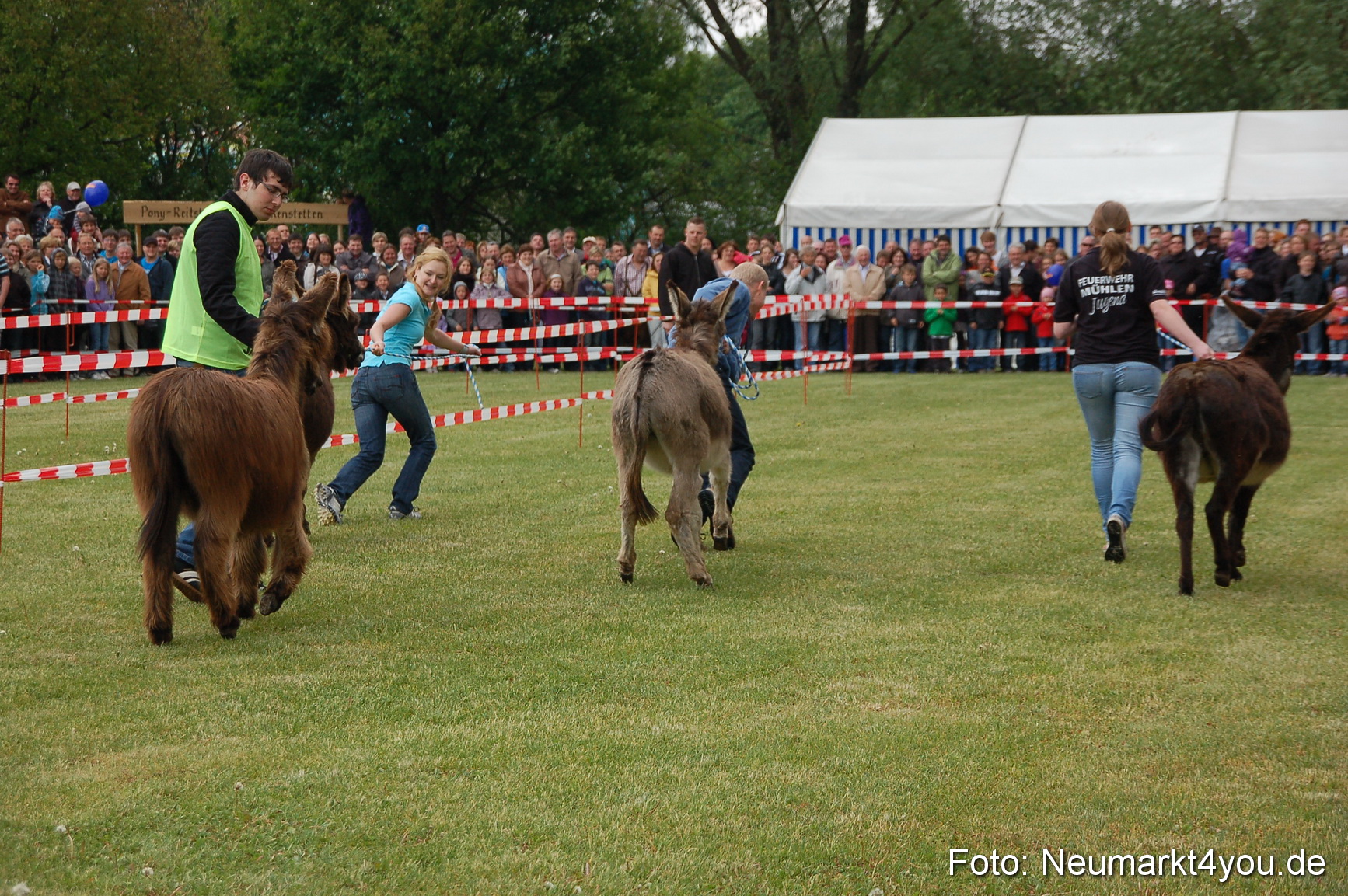 Eselrennen Neumarkt 150511 0008