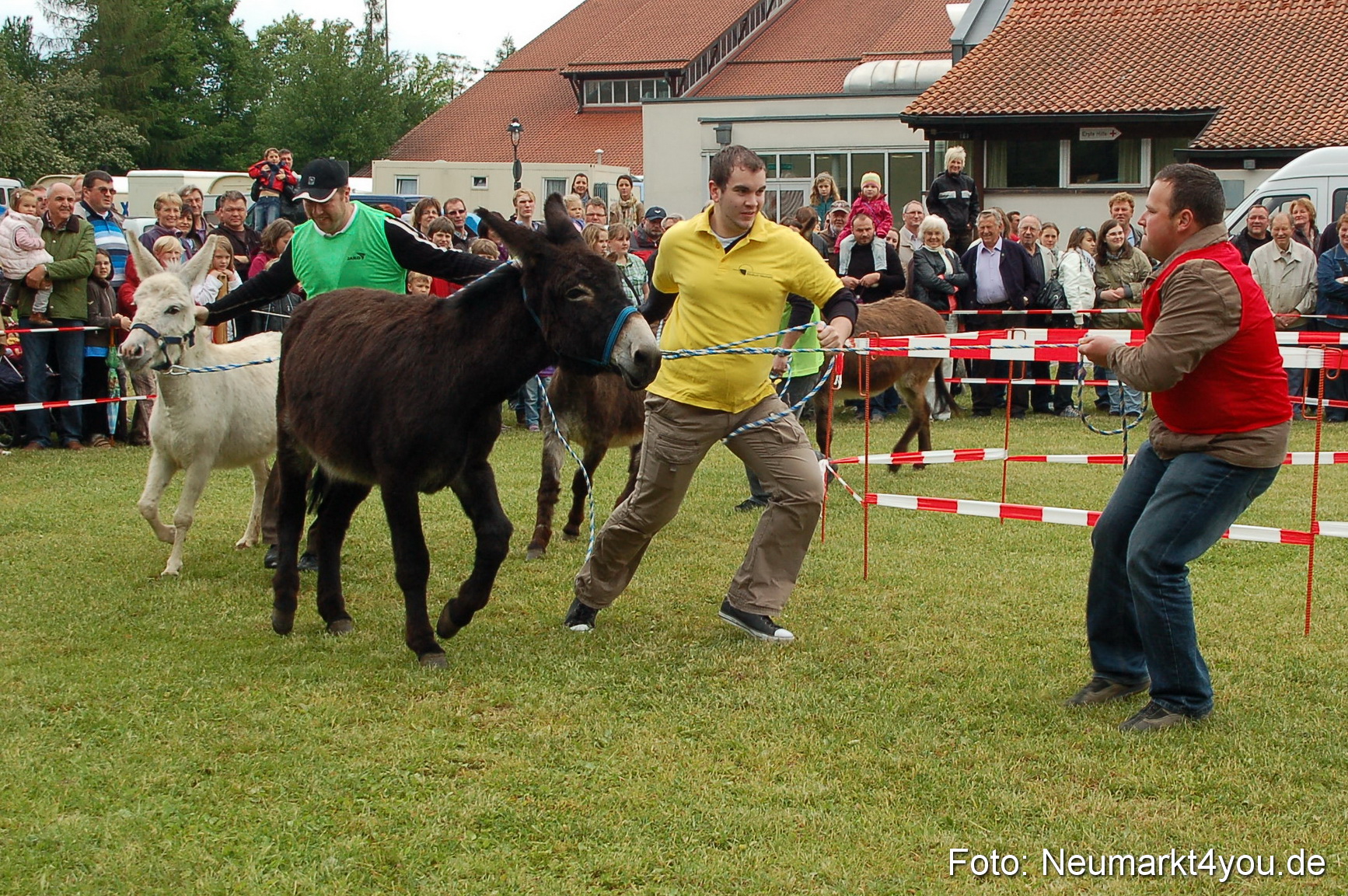 Eselrennen Neumarkt 150511 0017
