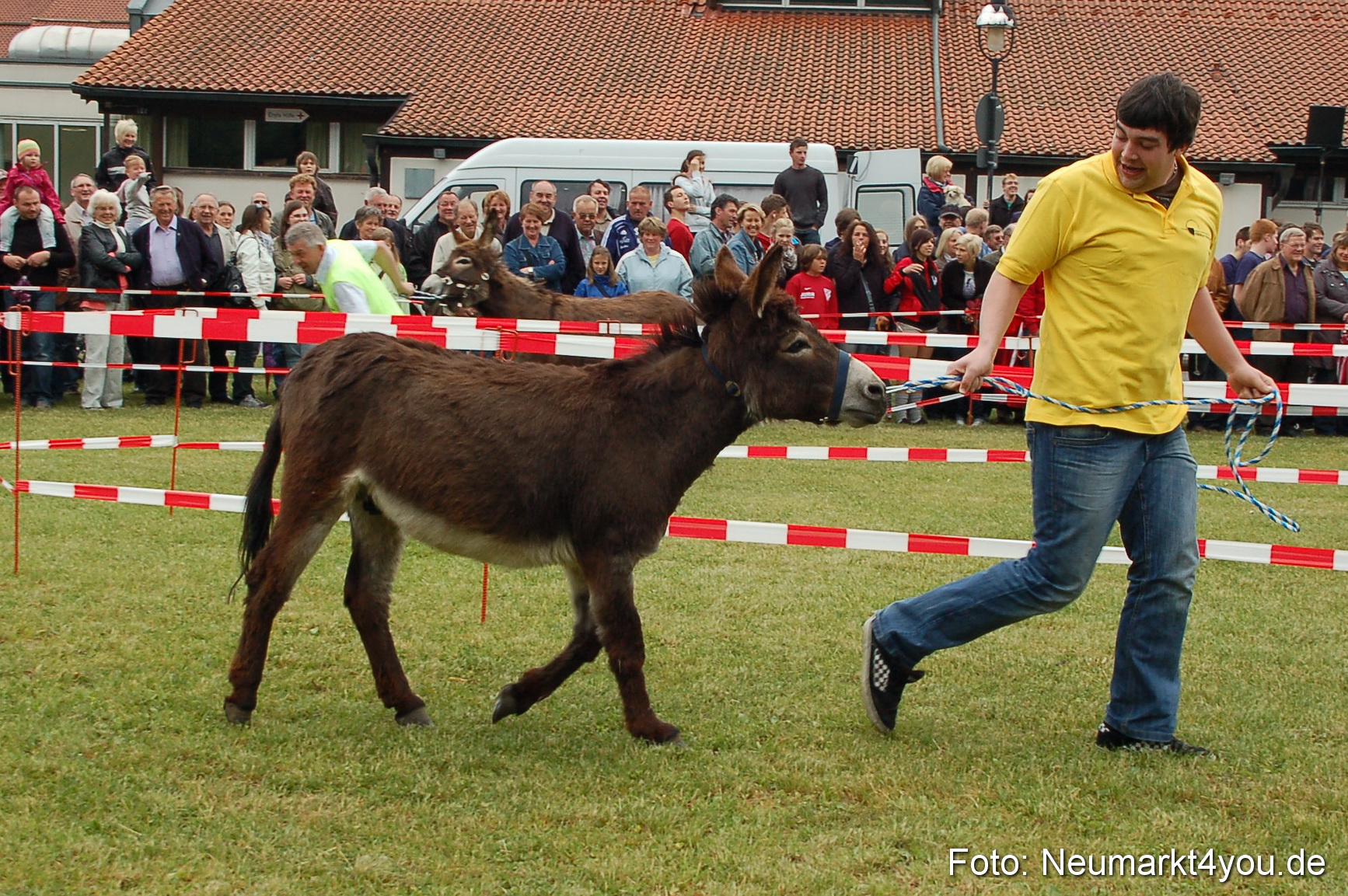 Eselrennen Neumarkt 150511 0019