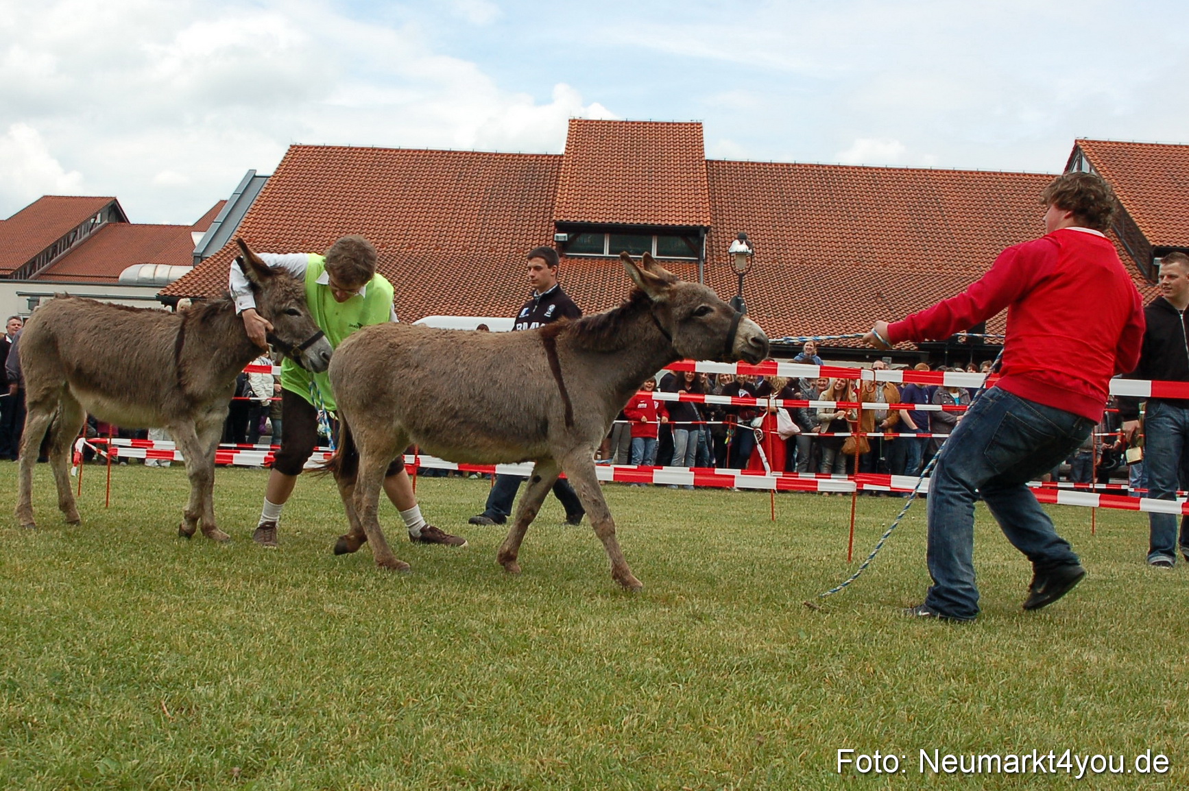 Eselrennen Neumarkt 150511 0033