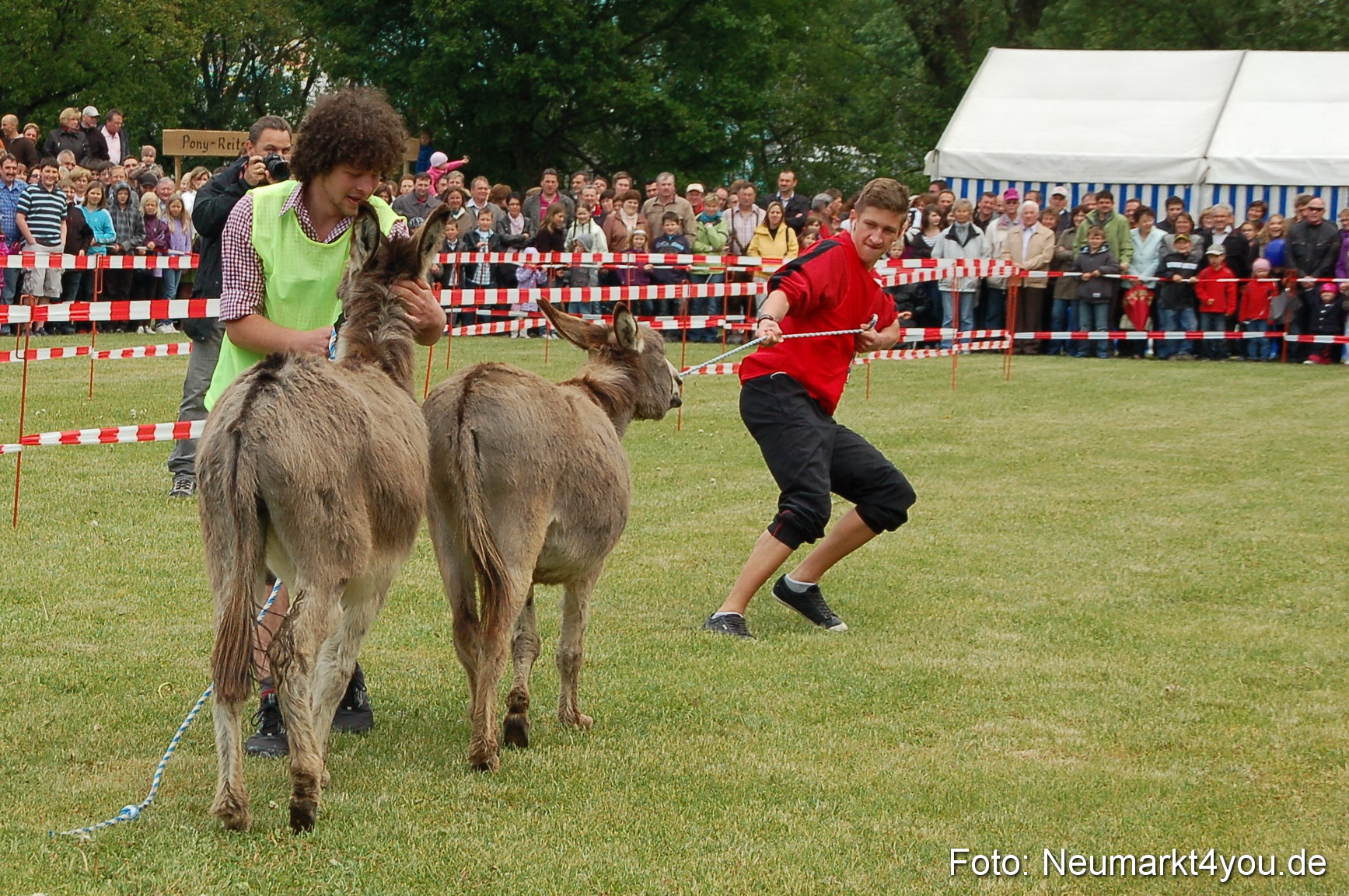 Eselrennen Neumarkt 150511 0039