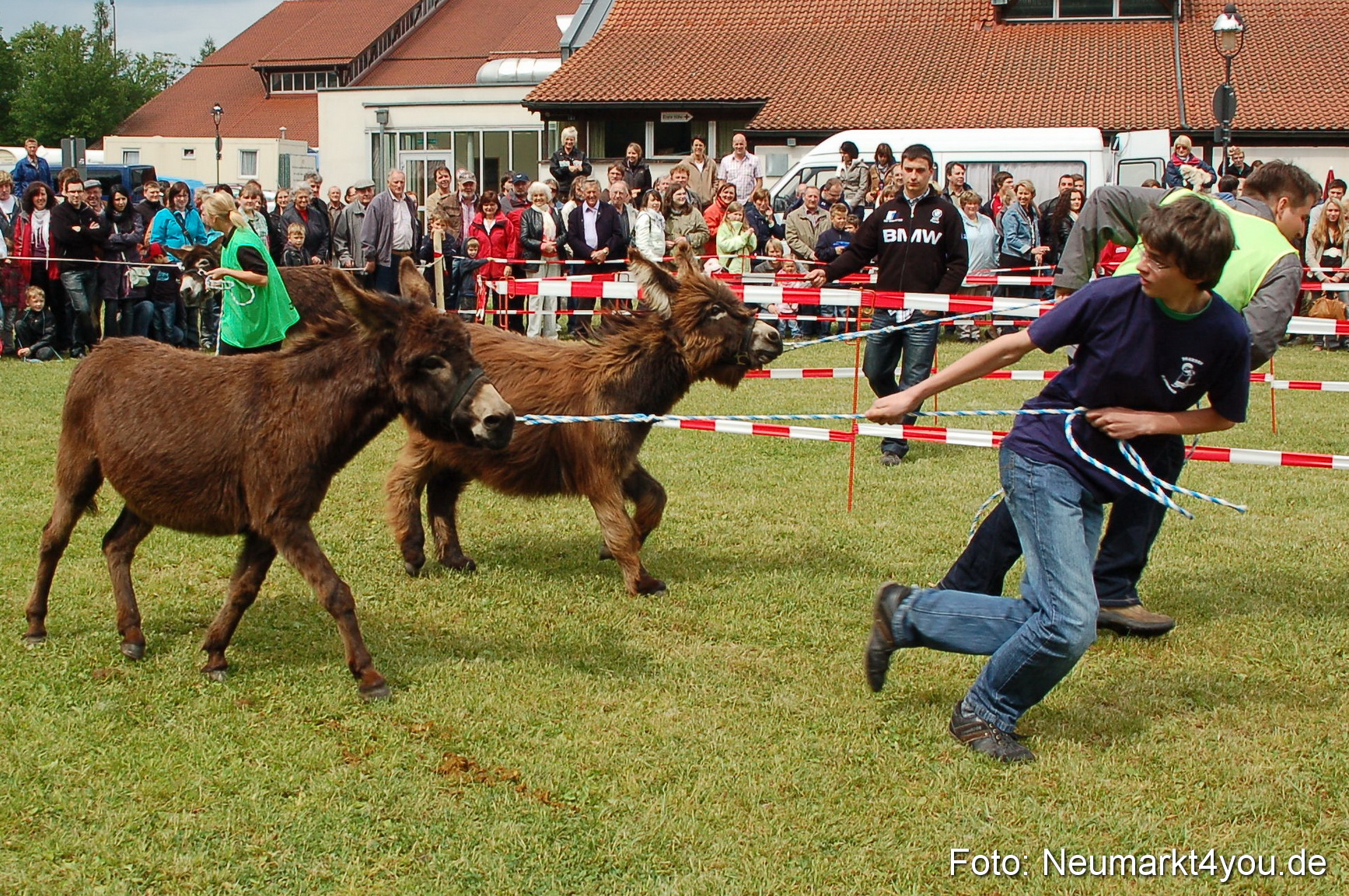 Eselrennen Neumarkt 150511 0042