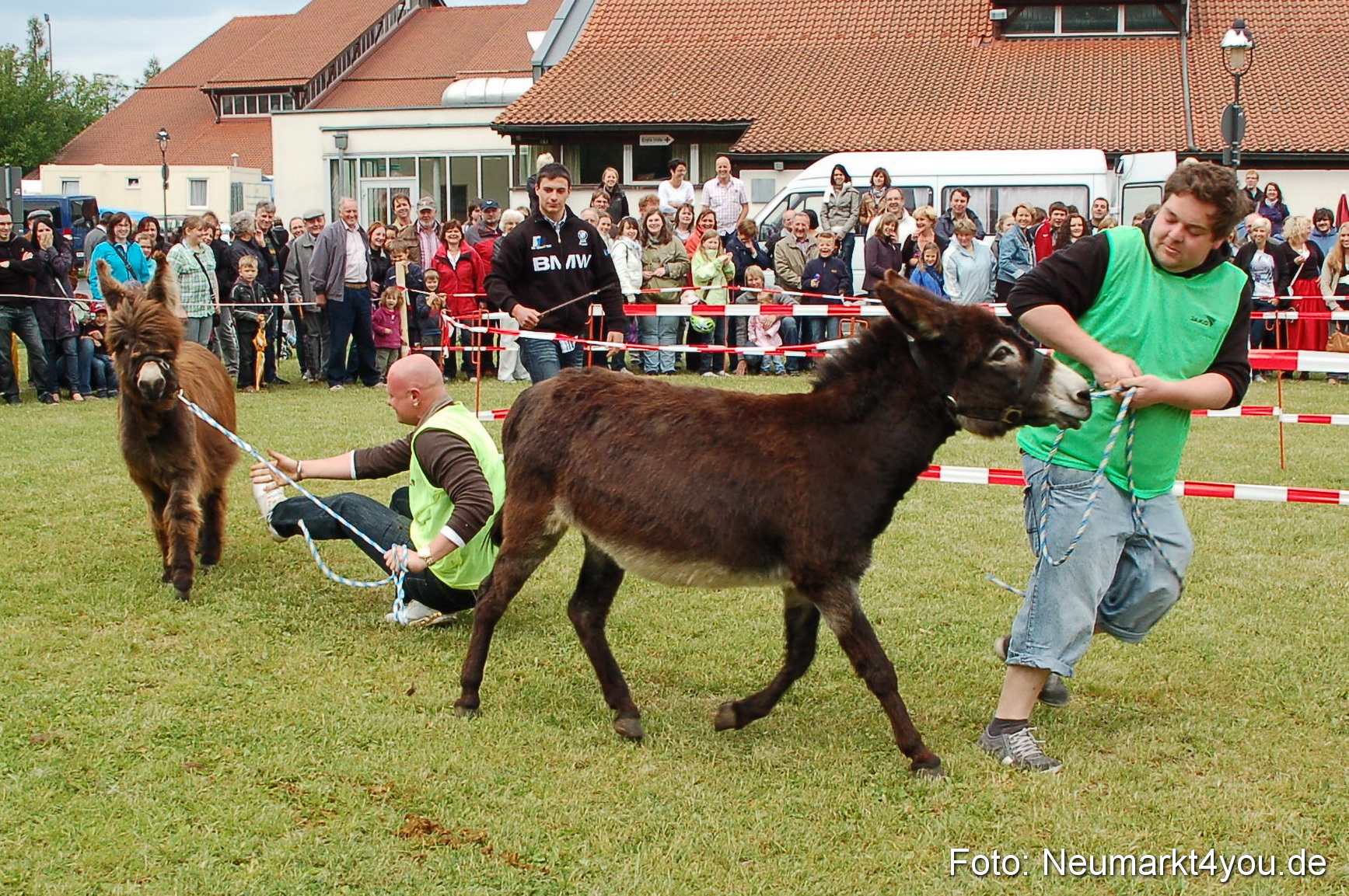 Eselrennen Neumarkt 150511 0046
