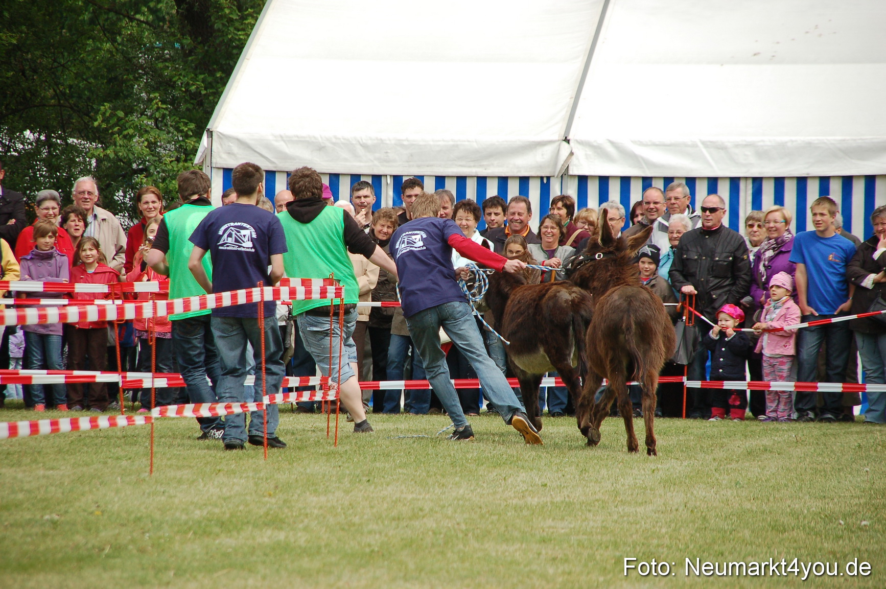 Eselrennen Neumarkt 150511 0050