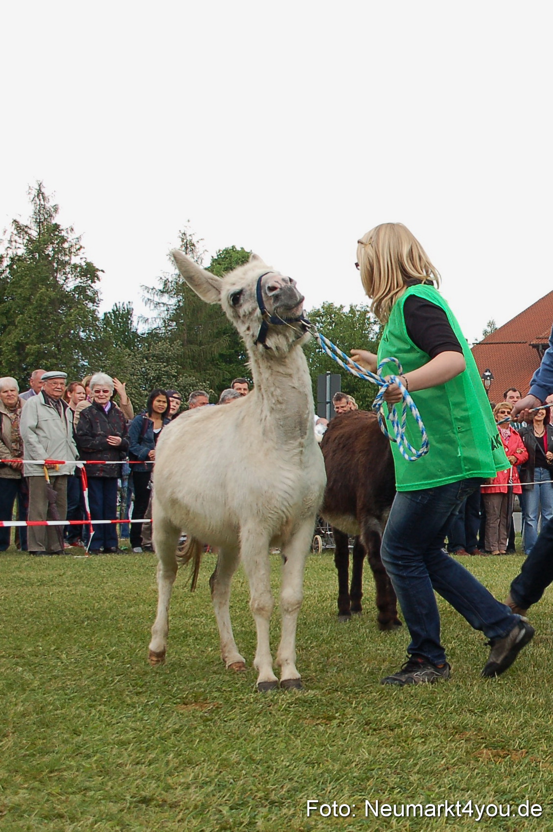 Eselrennen Neumarkt 150511 0053