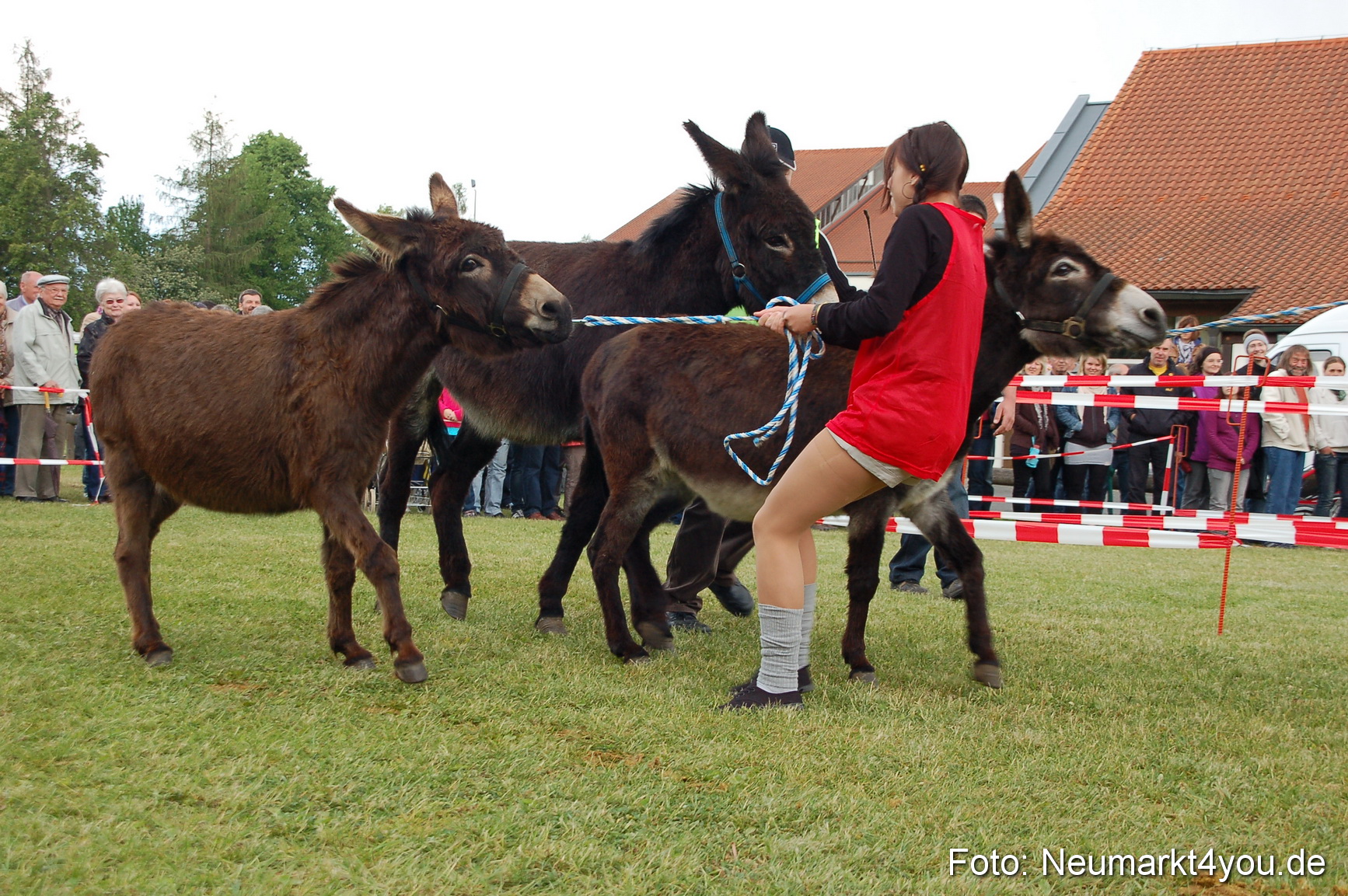 Eselrennen Neumarkt 150511 0056