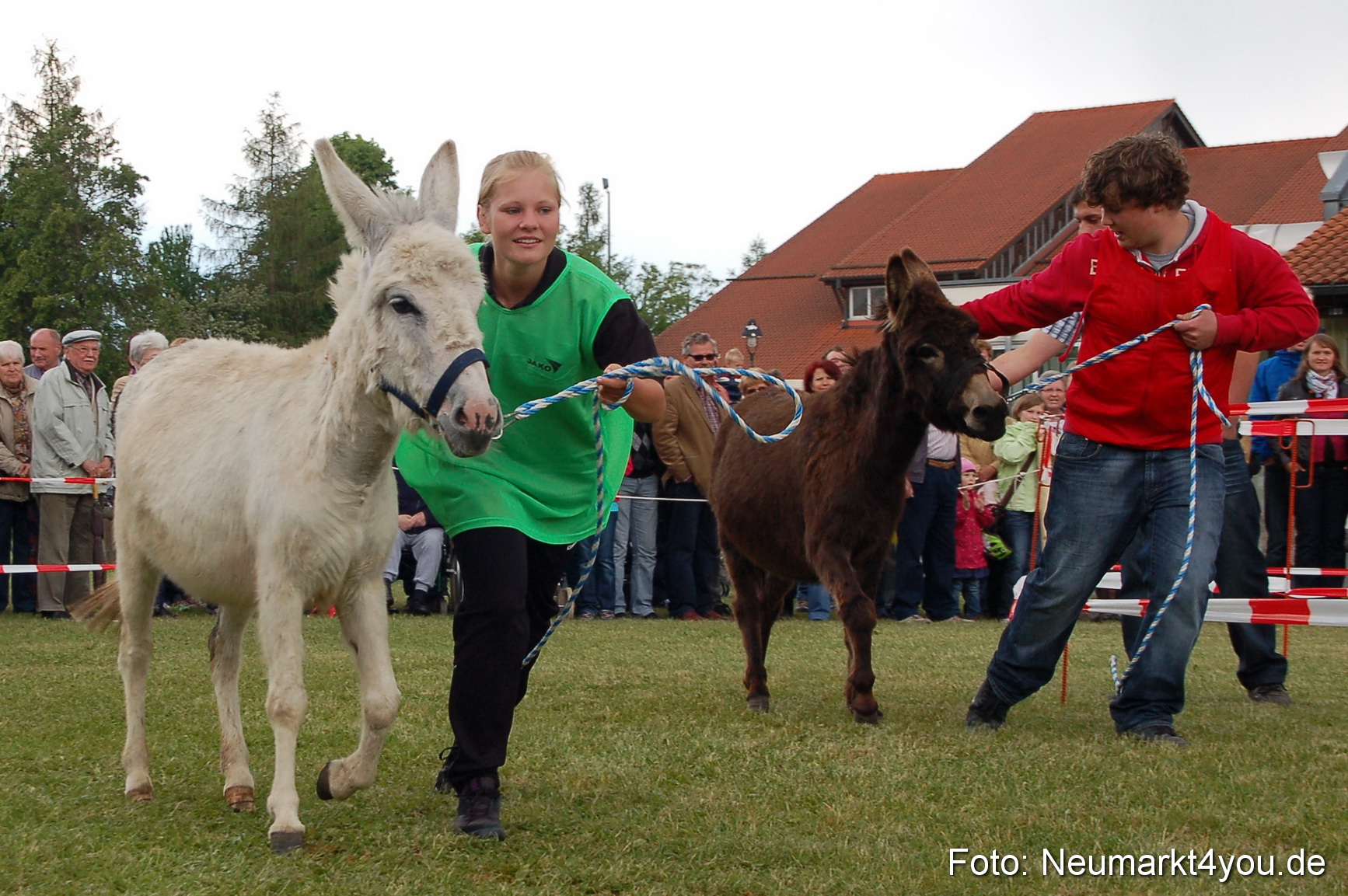 Eselrennen Neumarkt 150511 0057