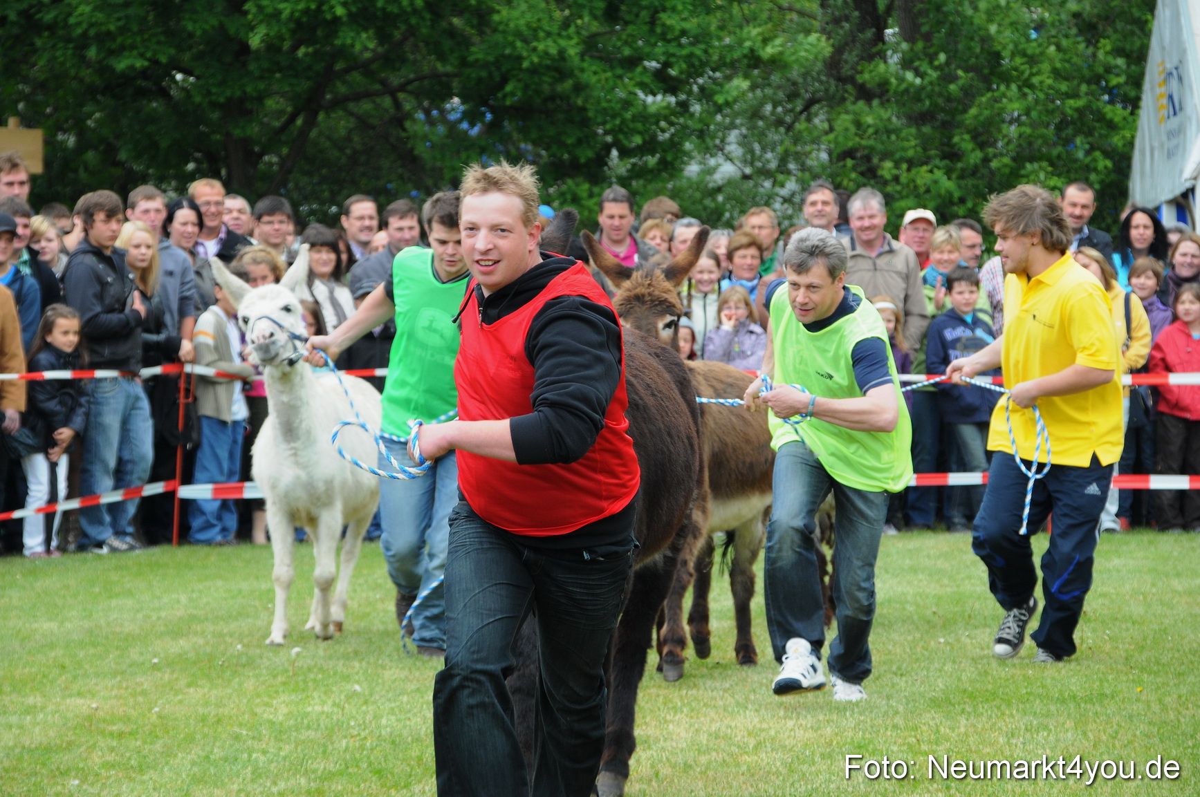 Eselrennen Neumarkt 150511 0078