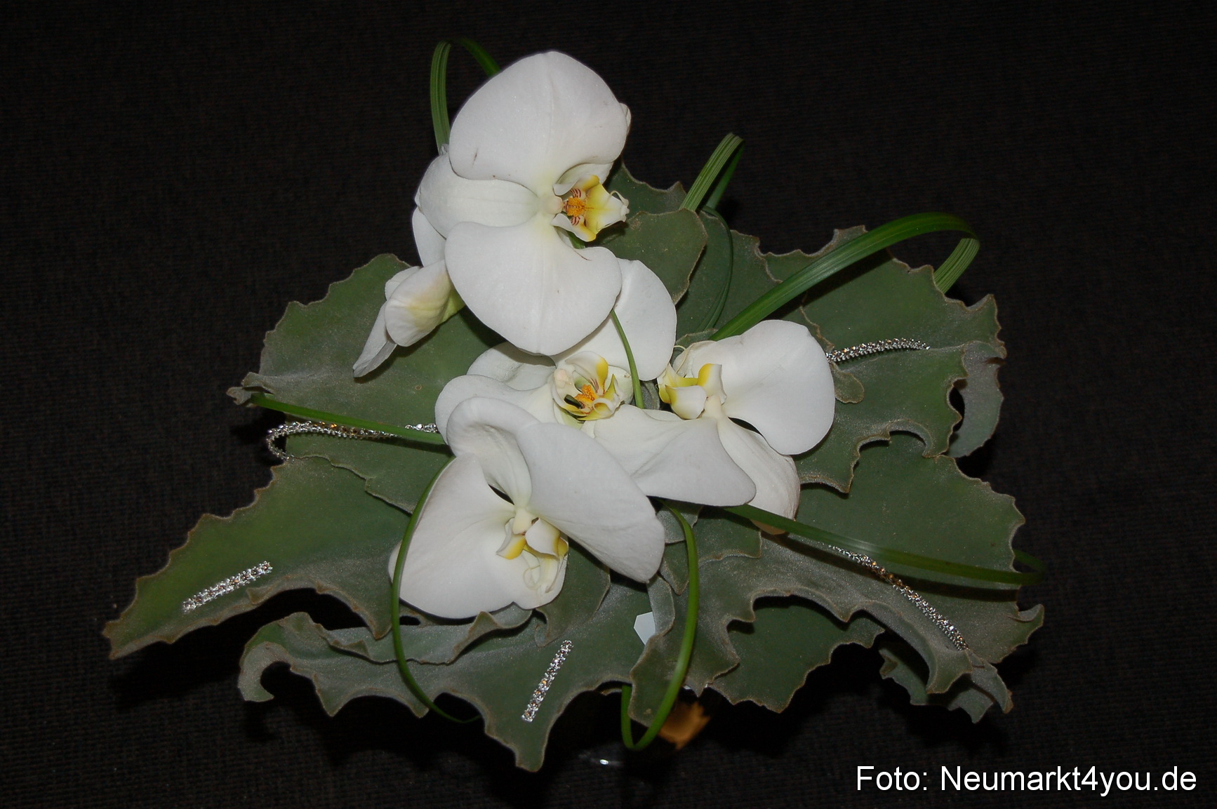 Hochzeitsmesse Neumarkt 080111 0184