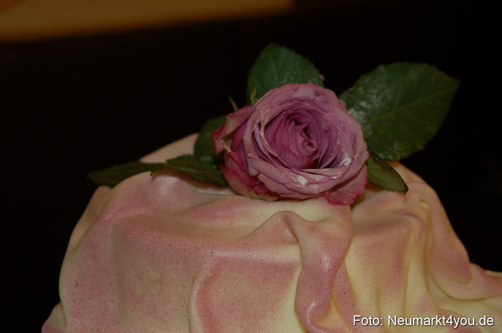 Hochzeitsmesse Neumarkt 080111 0191