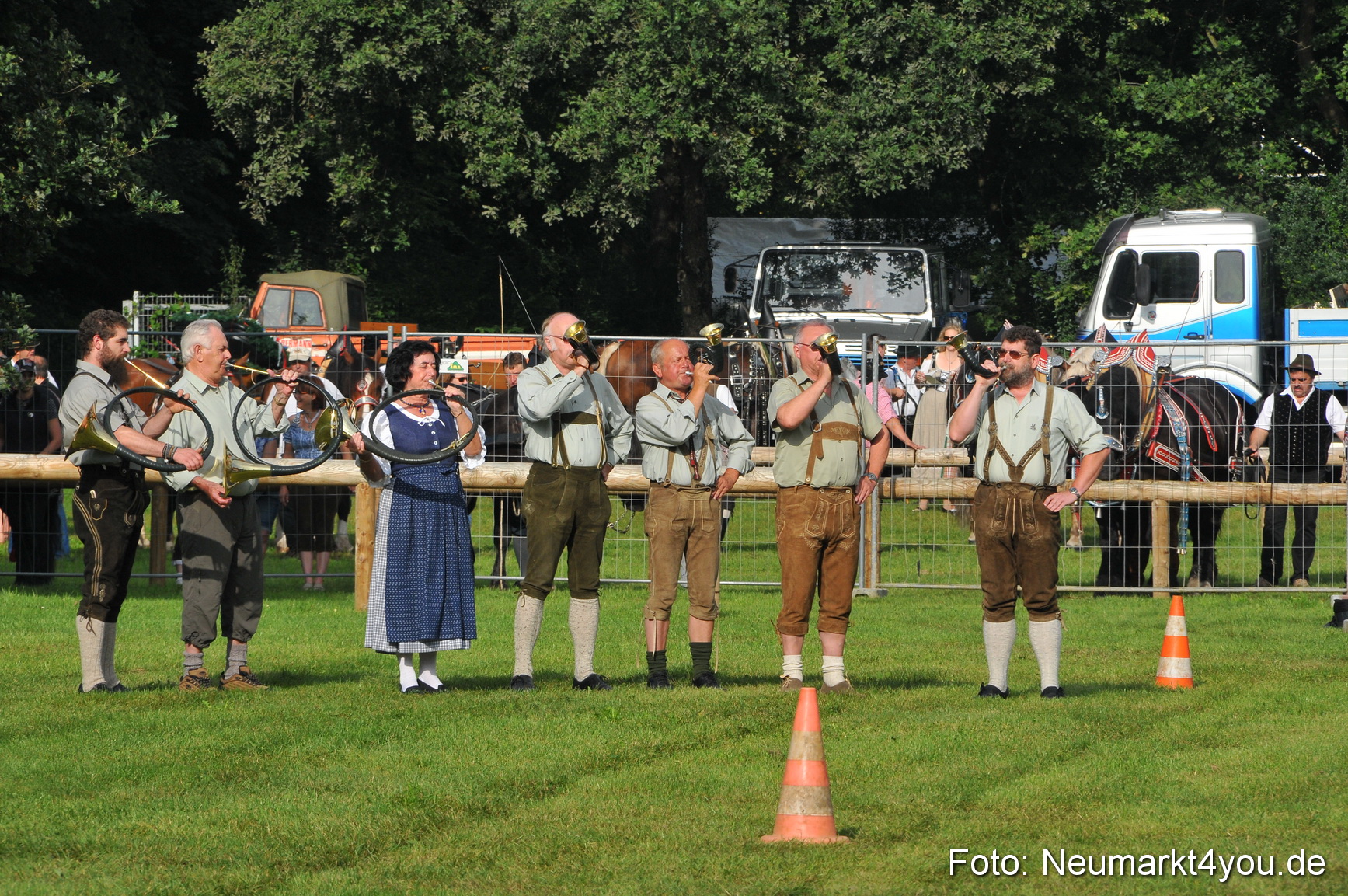 Pferdeschau Neumarkt 220811 0002
